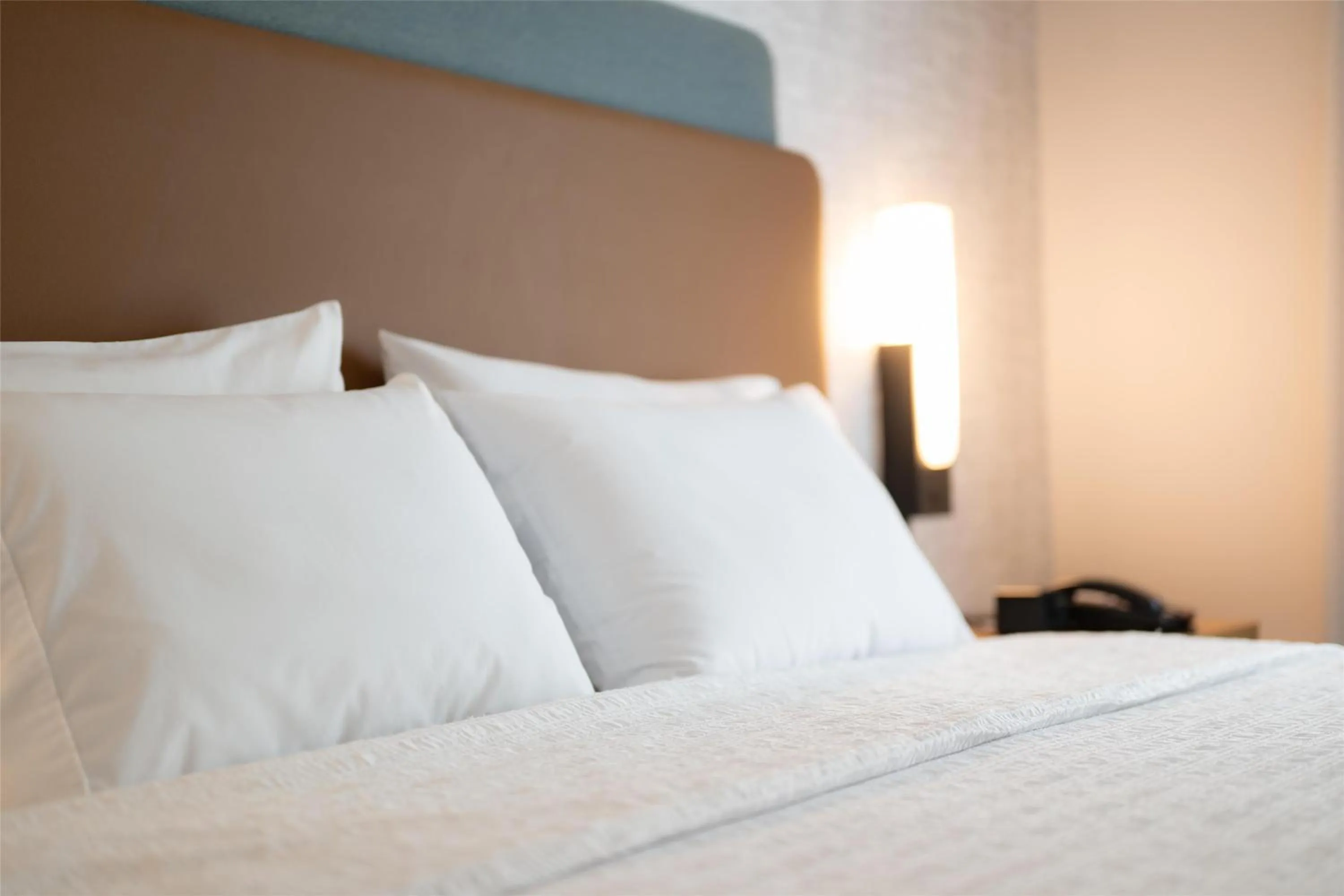 King Studio Suite with Sofa Bed - Hearing Access/Non-Smoking in Hampton Inn and Suites La Crosse Downtown