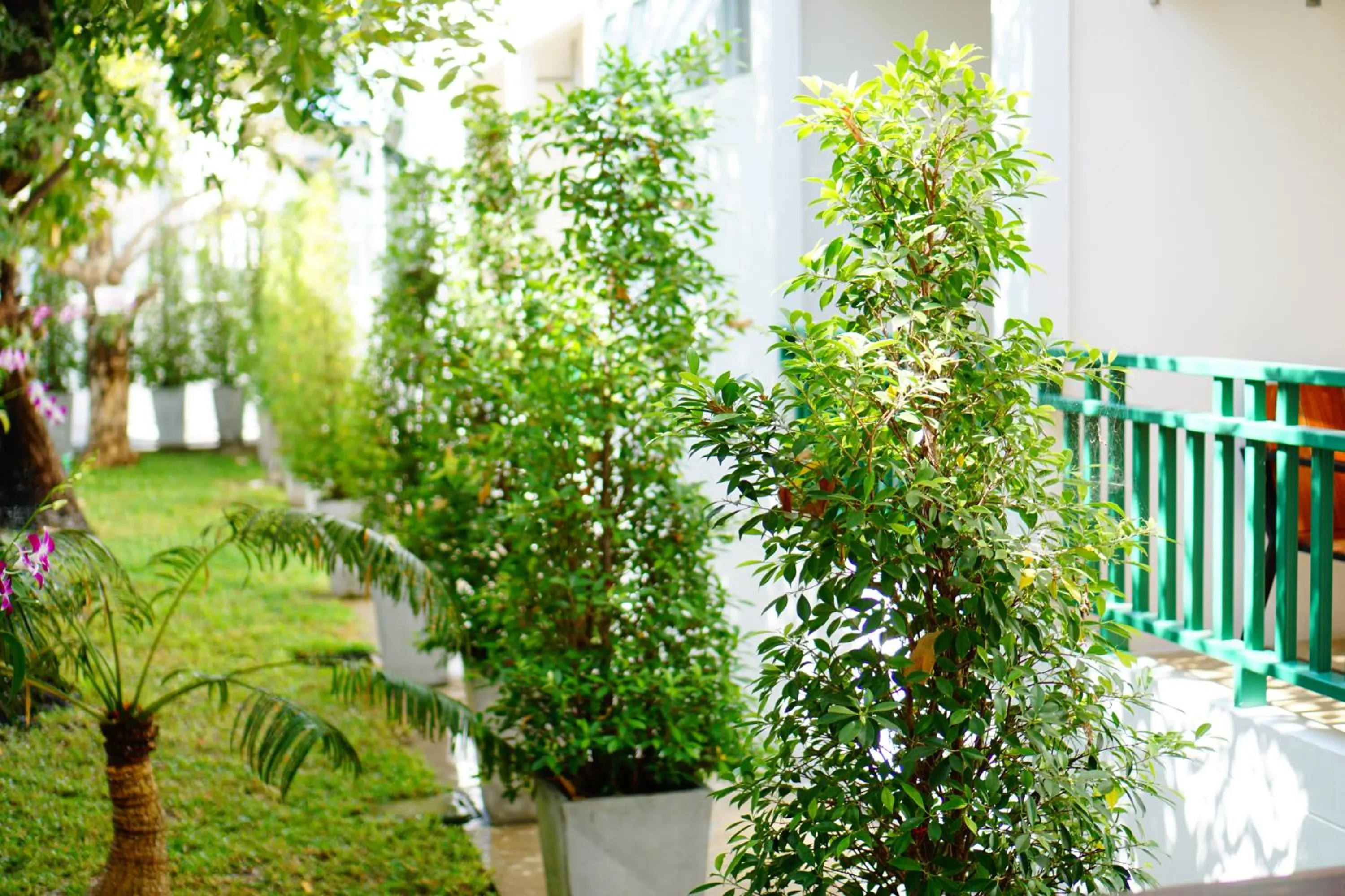 Standard Double Room with Balcony in NP Hotel