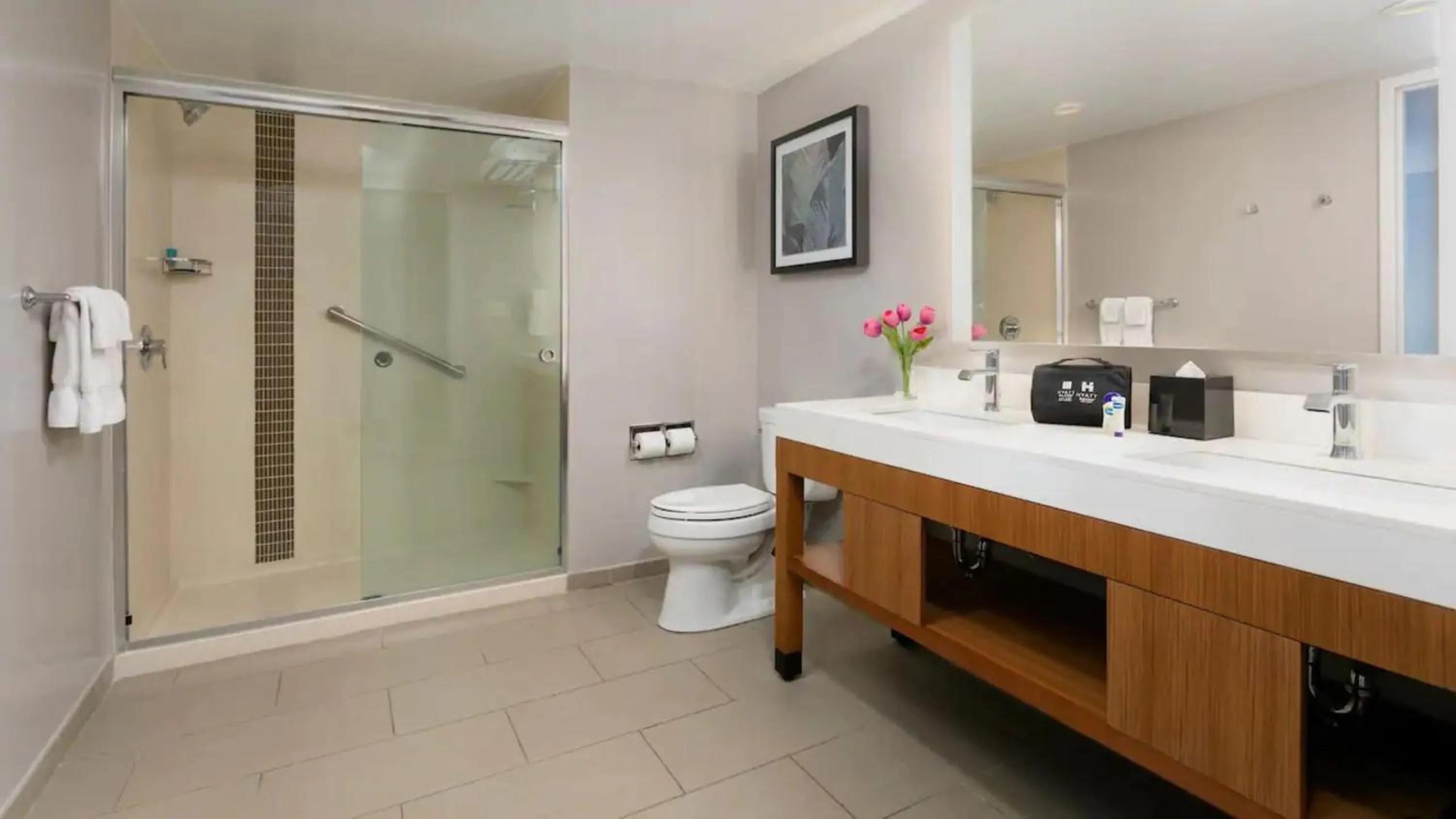 Queen Room with Sofa Bed and Accessible Tub - Bay View in Hyatt Place San Juan