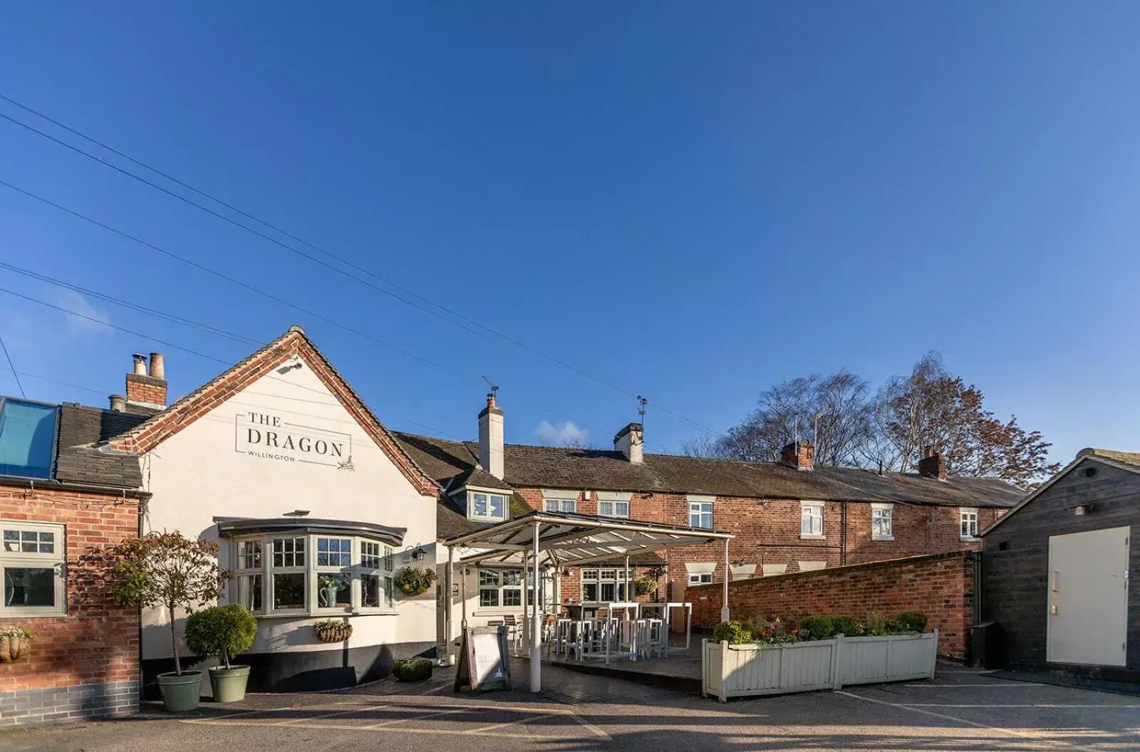 The Dragon Willington The Dragon Willington