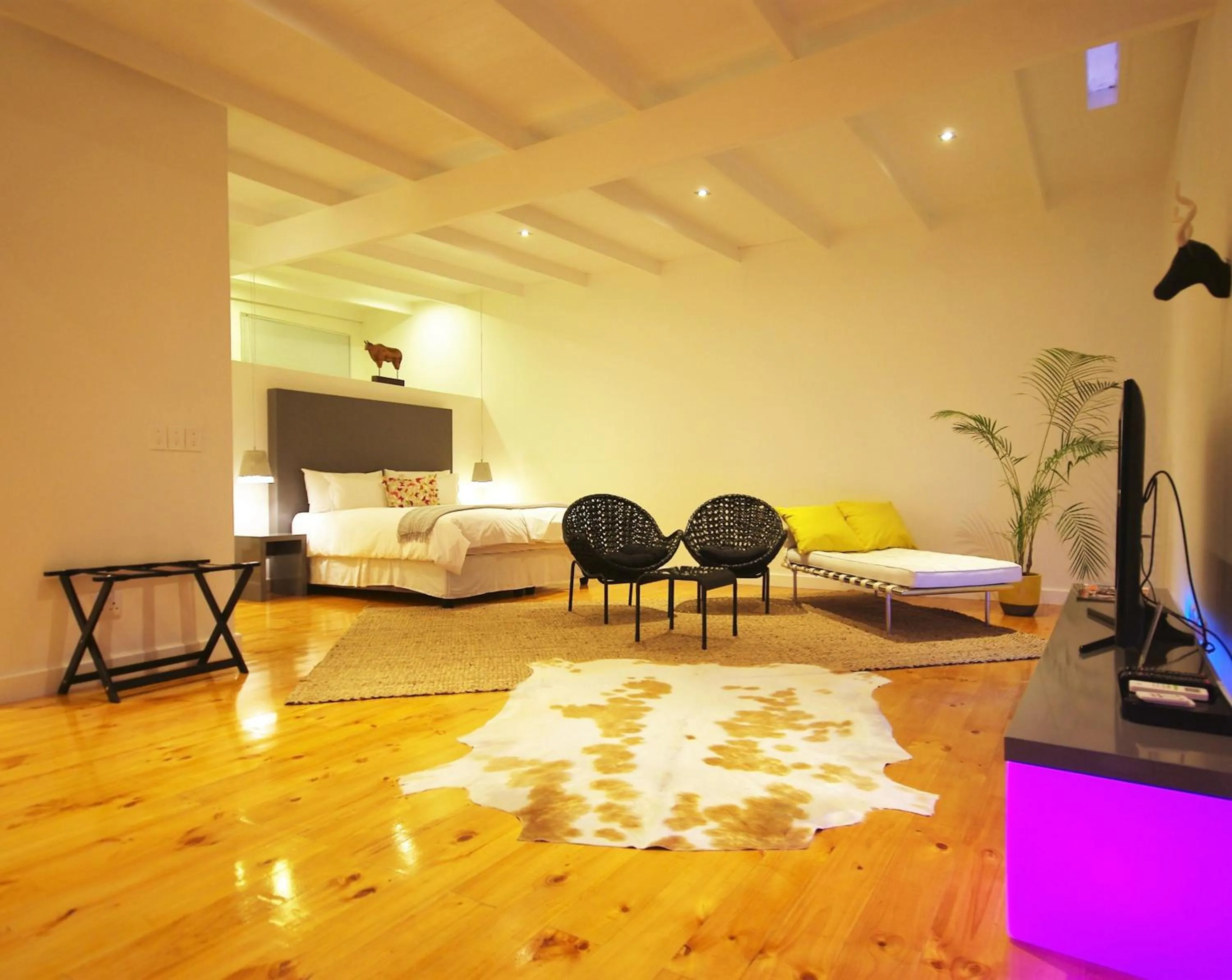 Large Luxury Double or Twin Room in DysArt Boutique Hotel - Solar Power