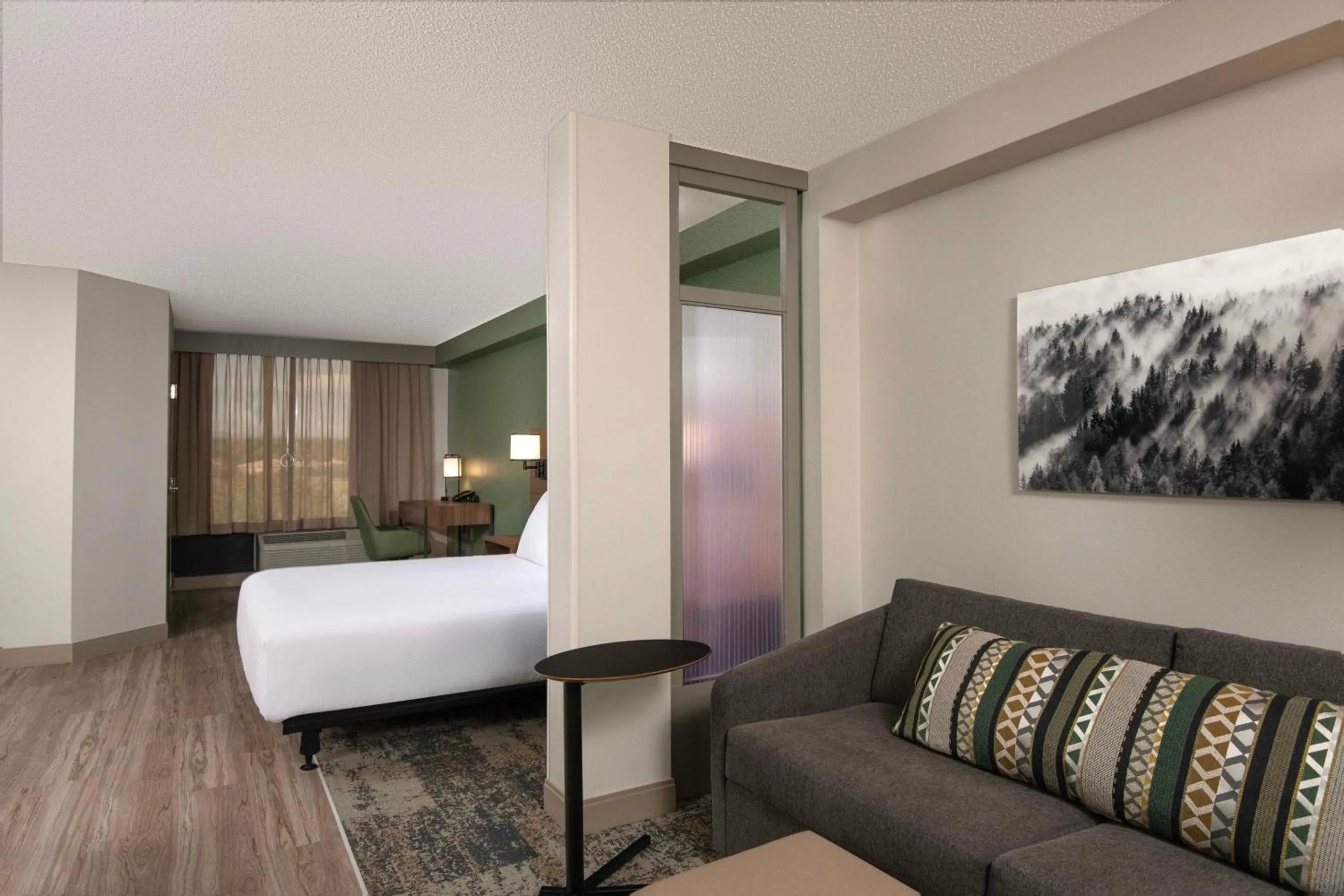 King Room with Sofa Bed and Accessible Tub - Disability Access in Hyatt Place Denver Tech Center