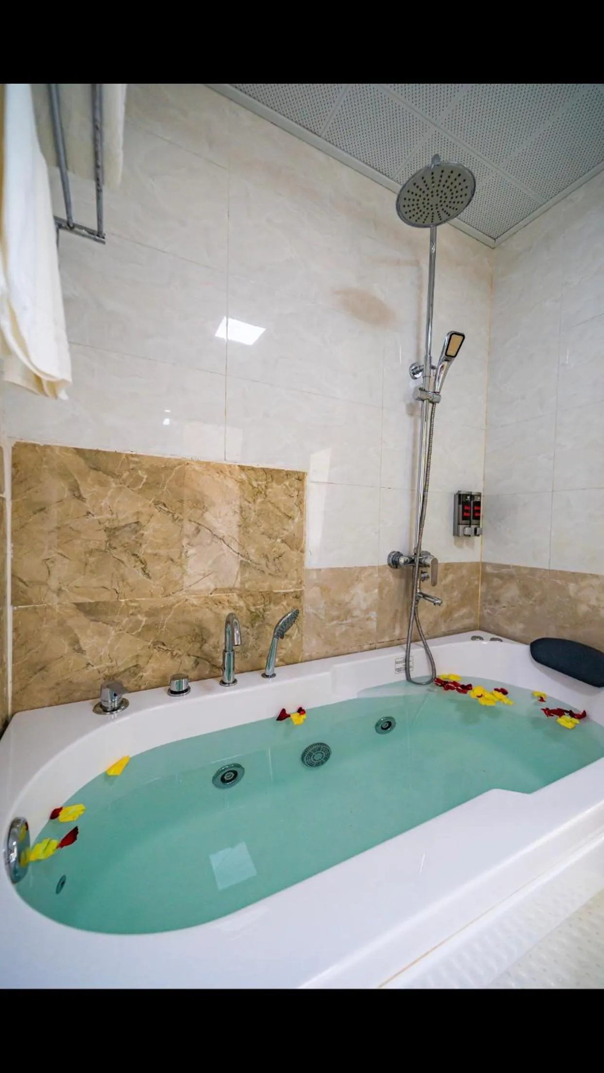 Standard Suite in Ha Long Park Hotel