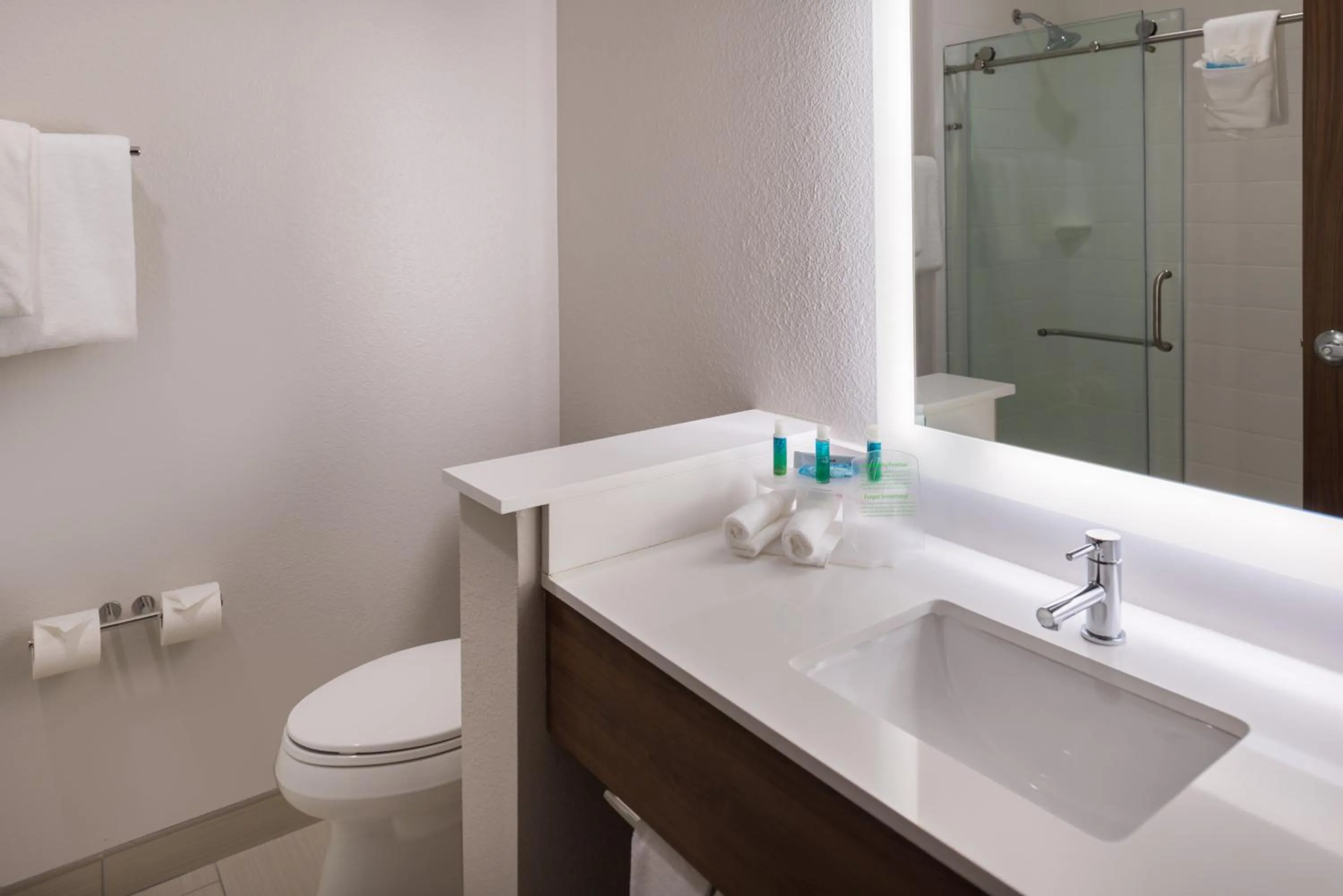 King Suite with Sofa Bed in Holiday Inn Express Fort Worth West by IHG