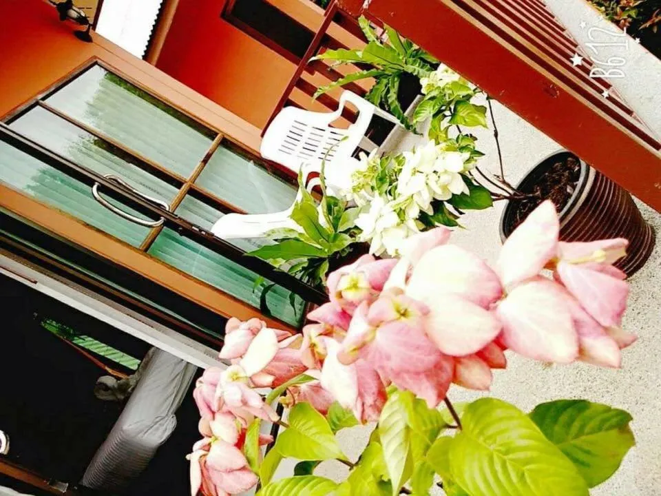 Deluxe Double or Twin Room with Garden View in Lanta Cottage - SHA Plus