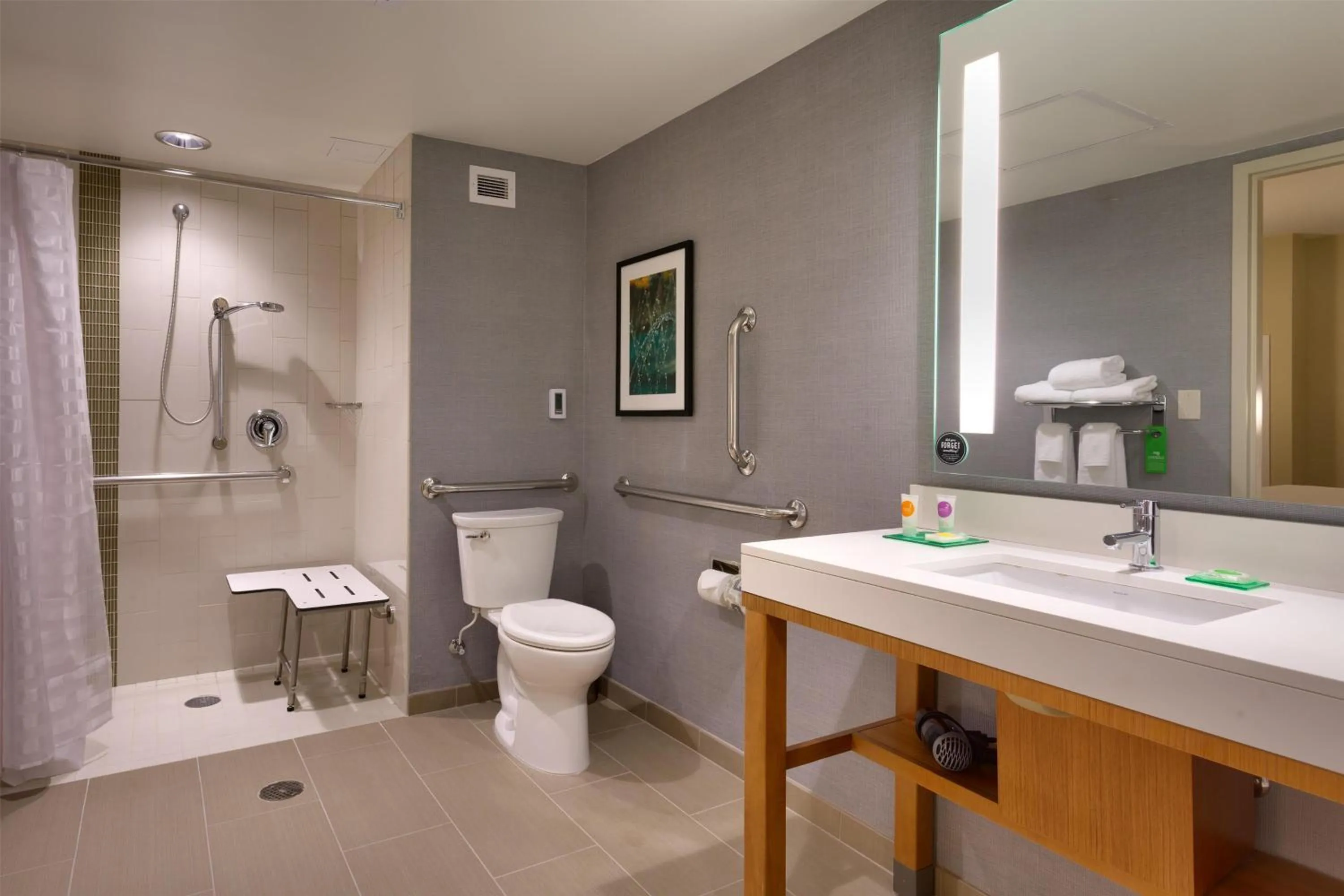 King Room with Sofa Bed and Roll-In Shower - Disability Access in Hyatt Place Park City