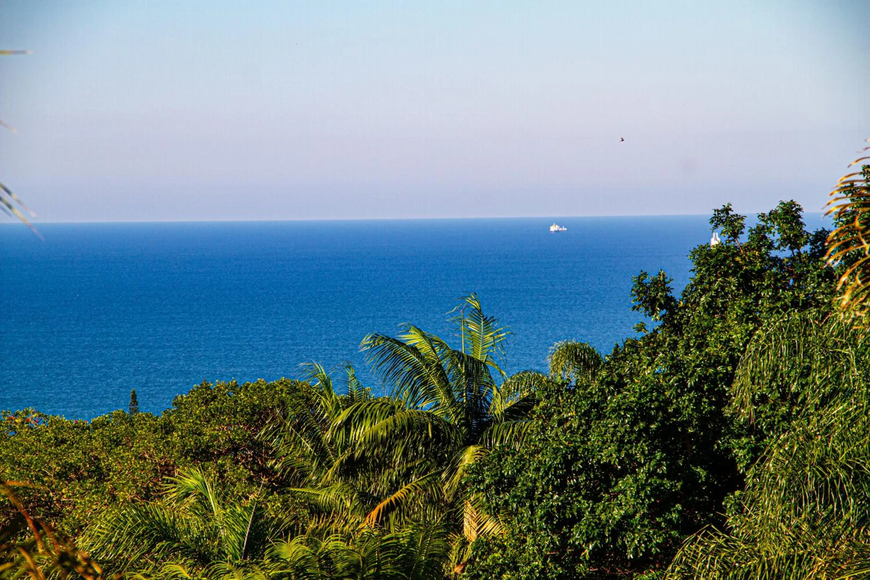 Executive Room with Sea View - single occupancy in La Loggia Bed and Breakfast