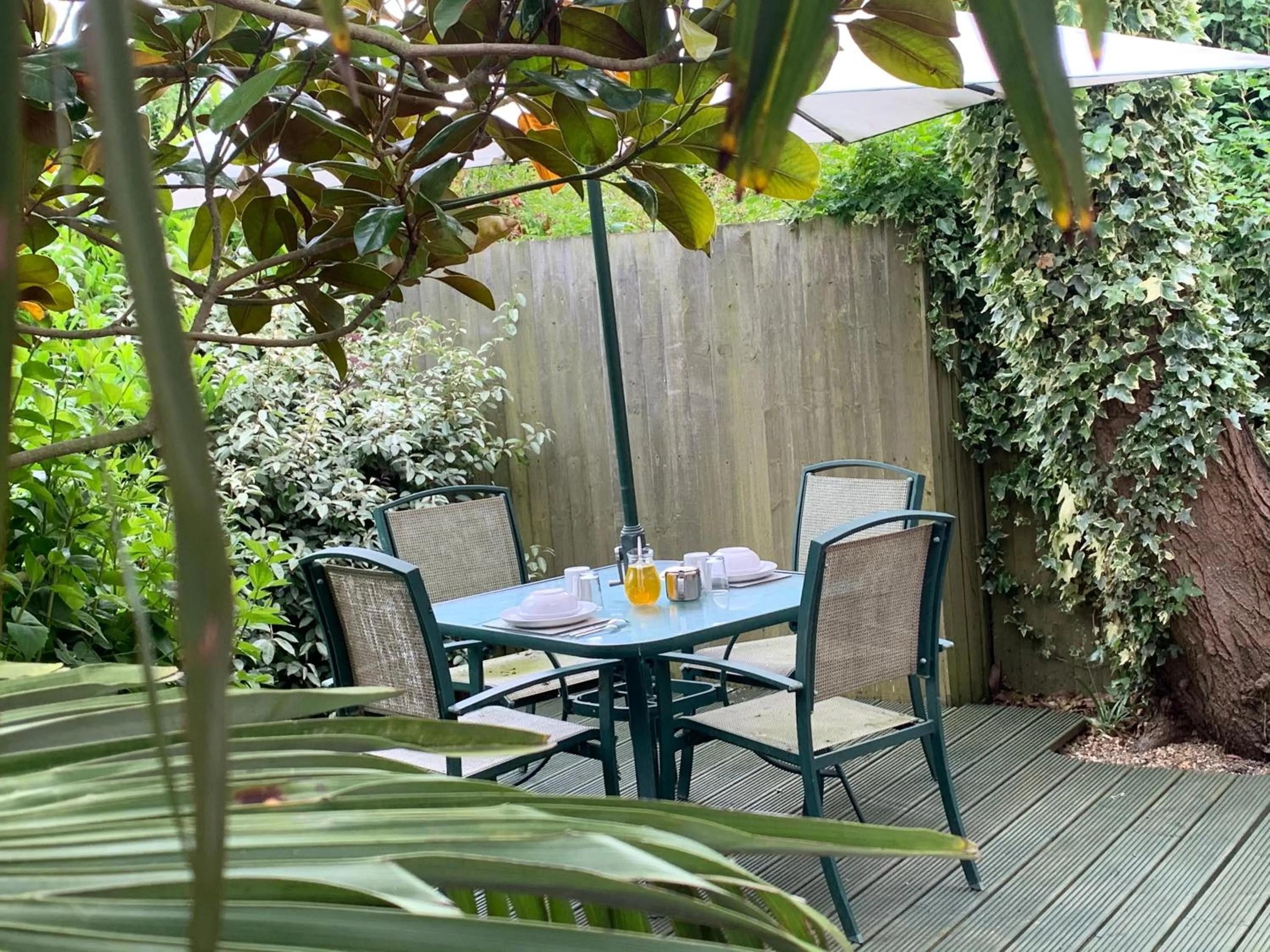Apartment with Garden View - single occupancy in Woodpaddock Bed & Breakfast