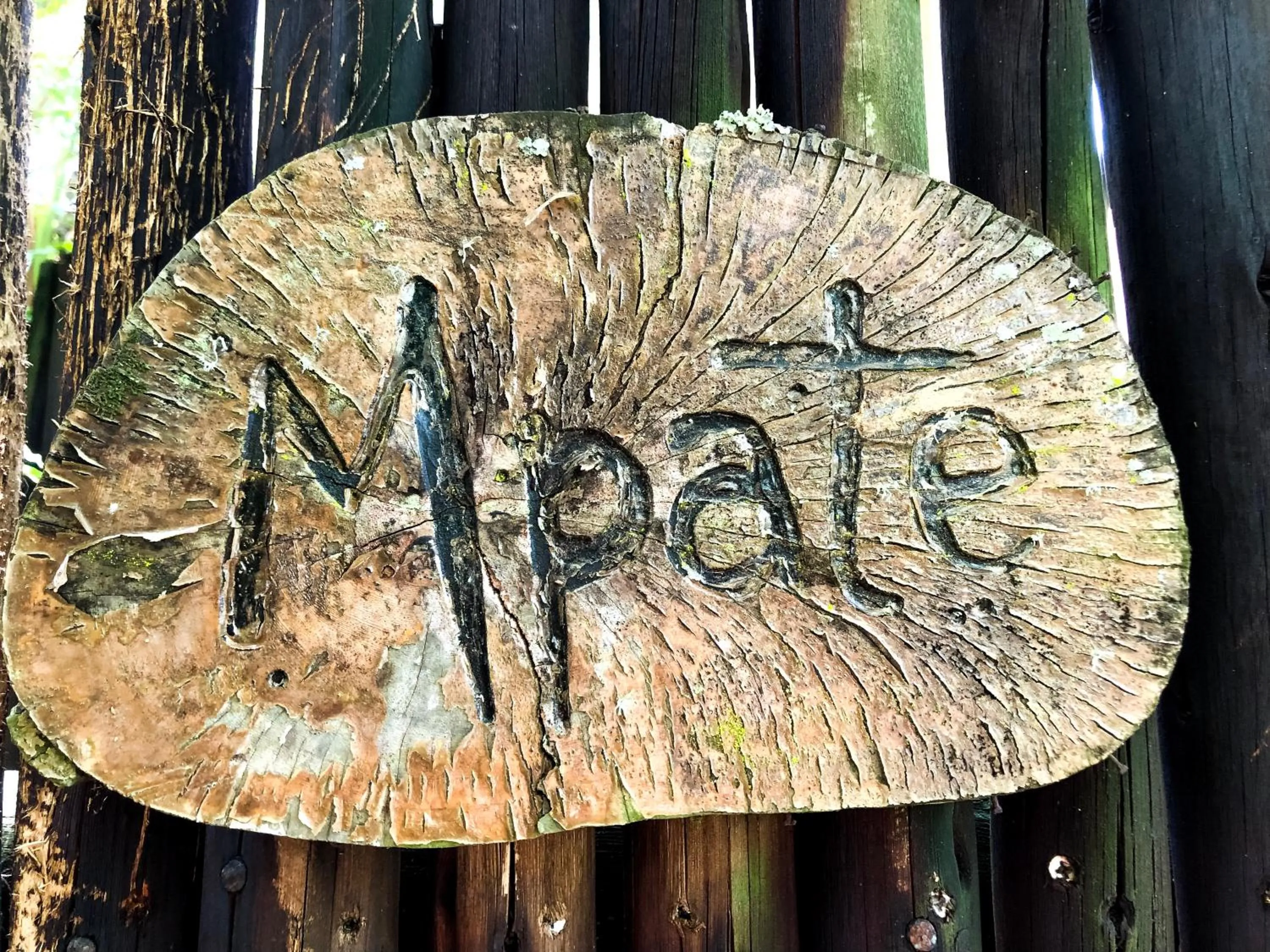 Double Room with Pool View in Ingwenya Lodge