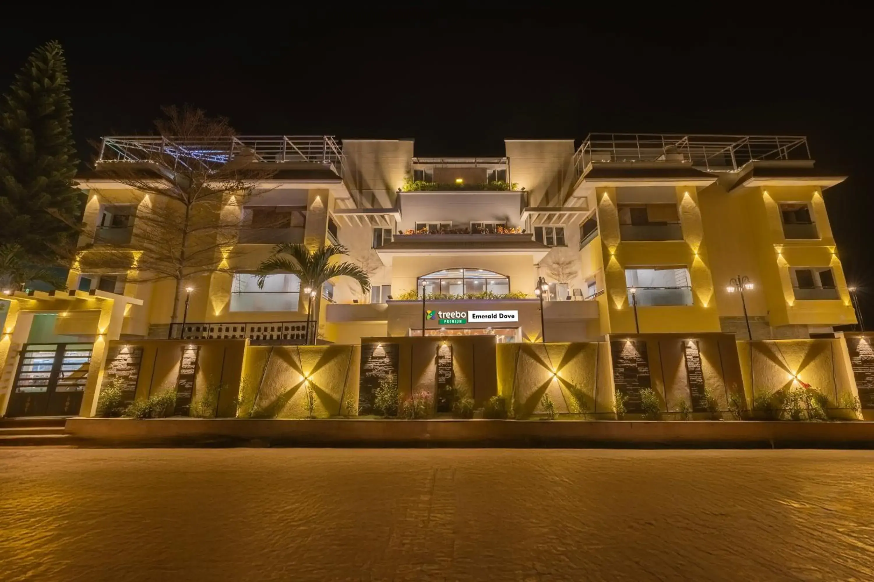 Treebo Premium Emerald Dove Treebo Premium Emerald Dove