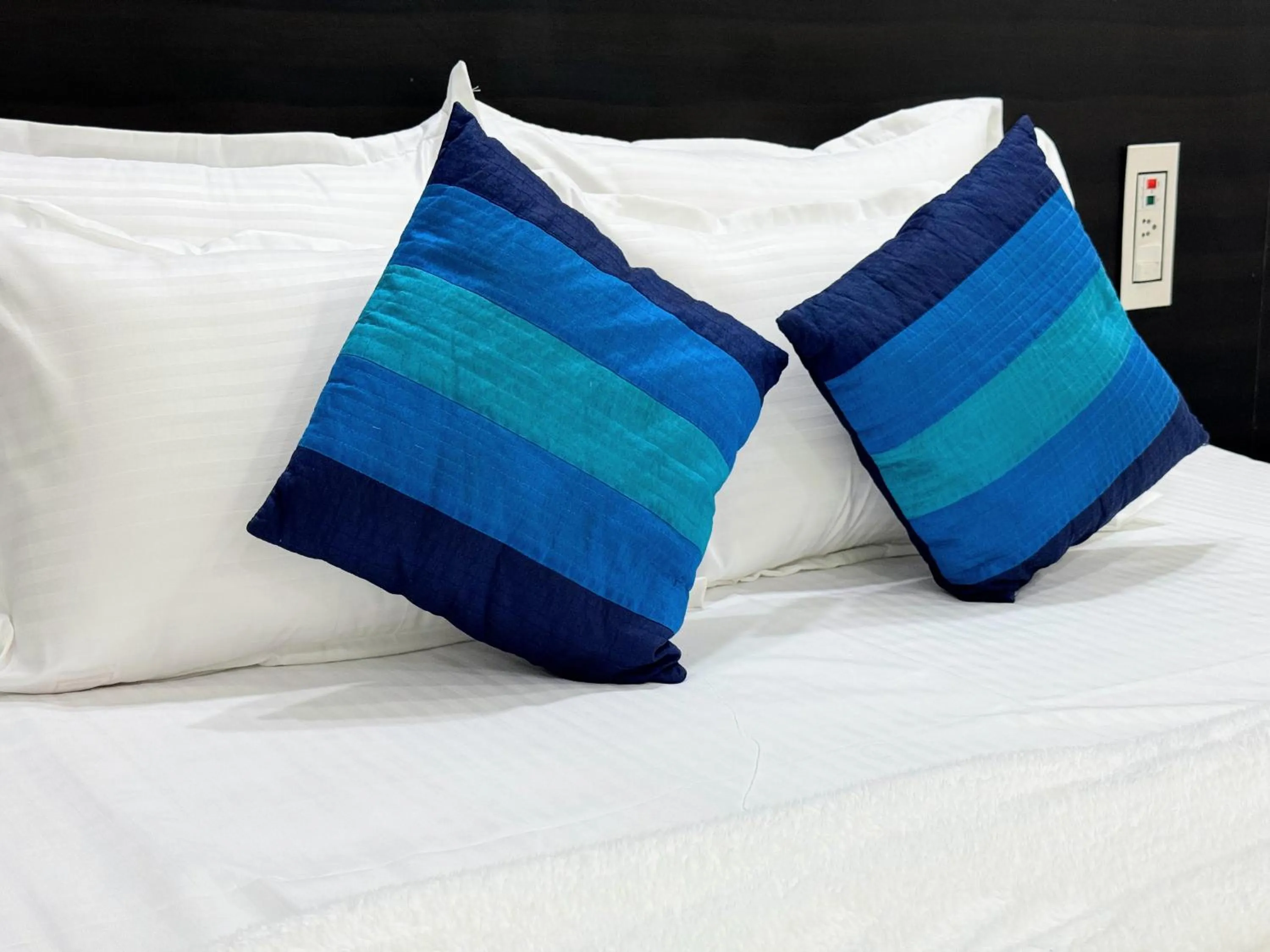 Superior Double Room in Backpacker's Nest