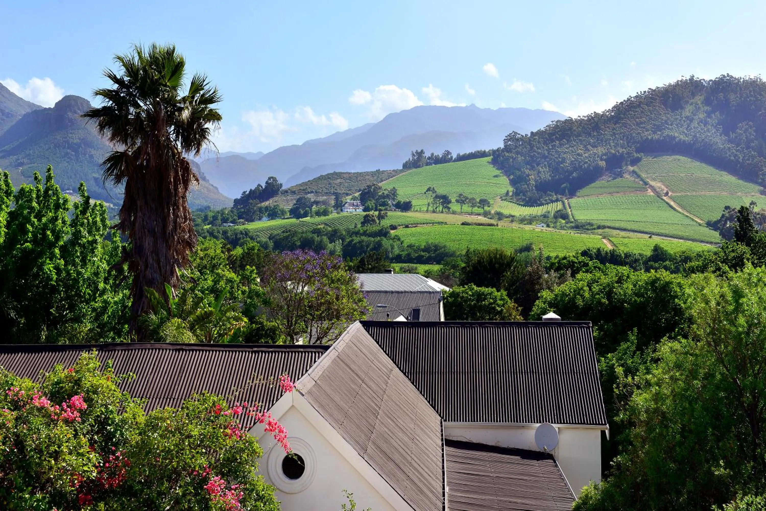 Luxury King or Twin Room with Mountain View in Franschhoek Boutique Hotel - Lion Roars Hotels & Lodges