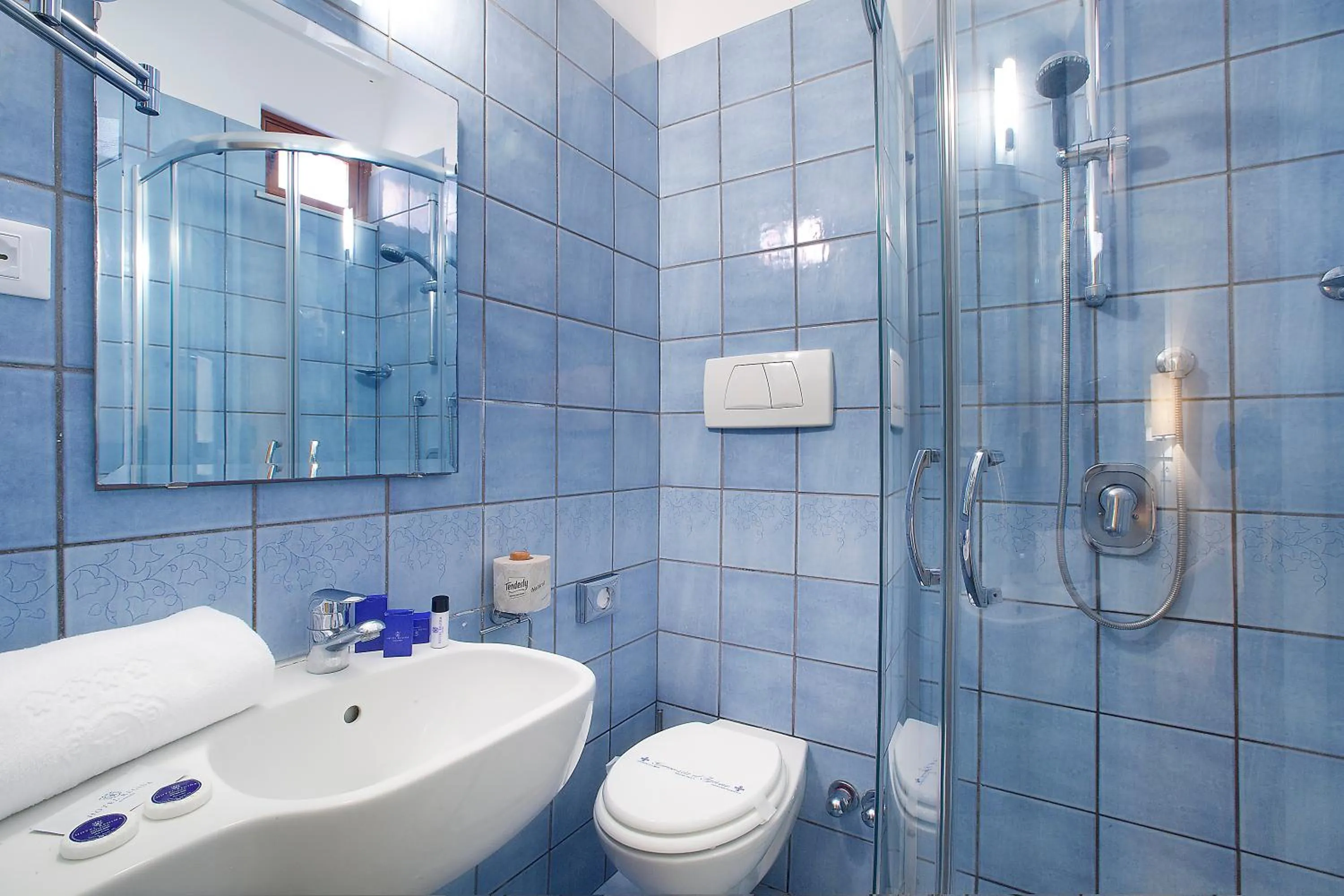 Single Room in Boutique Hotel Regina