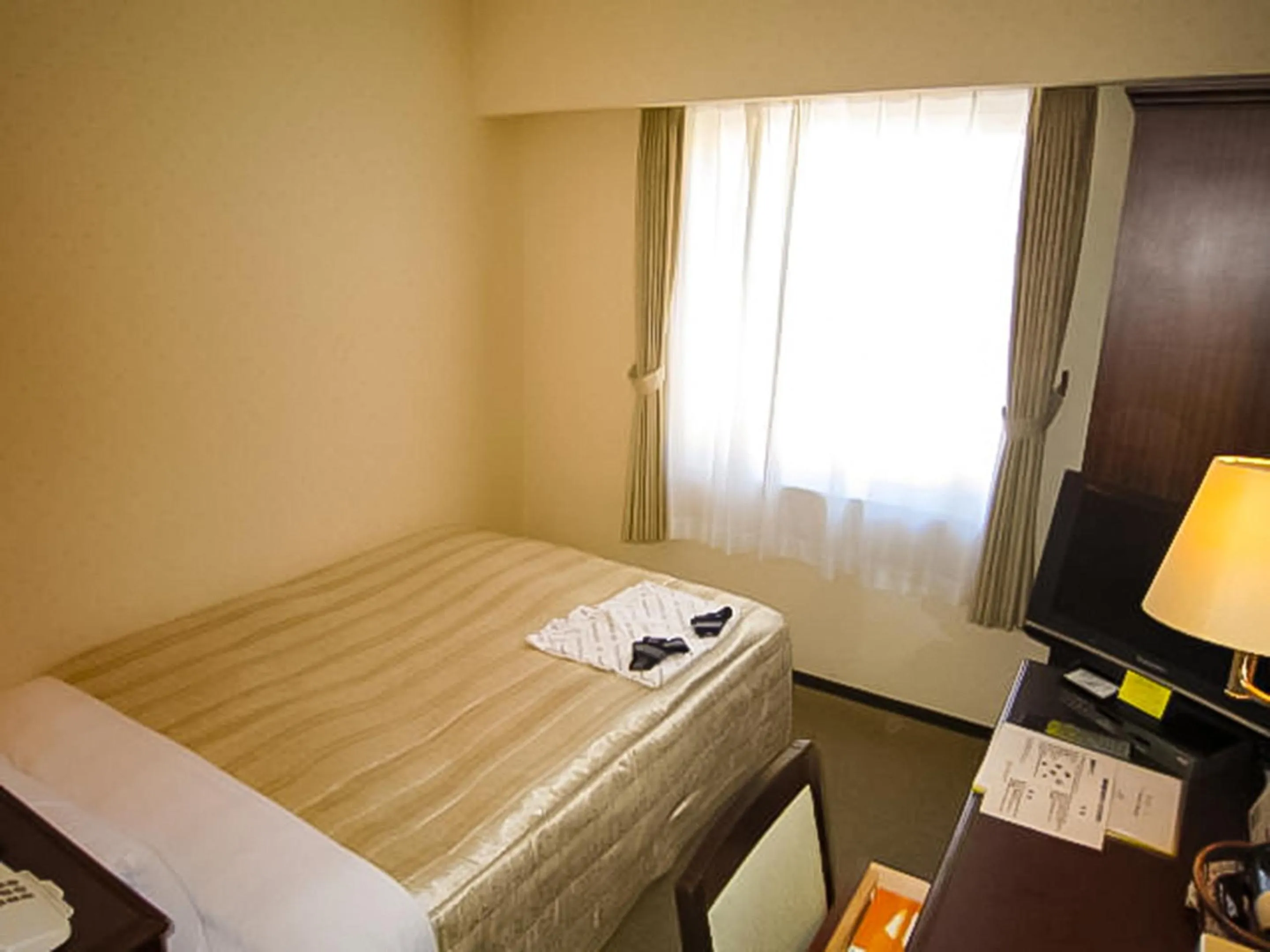 Double Room - single occupancy in Ichihara Marine Hotel