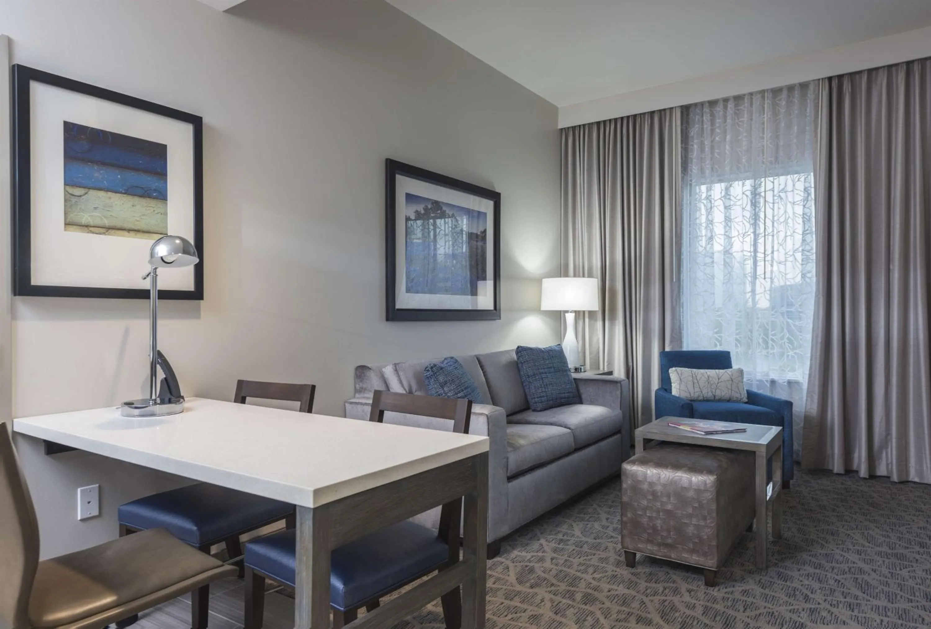 Two Room King Suite with Lake View in Embassy Suites by Hilton The Woodlands