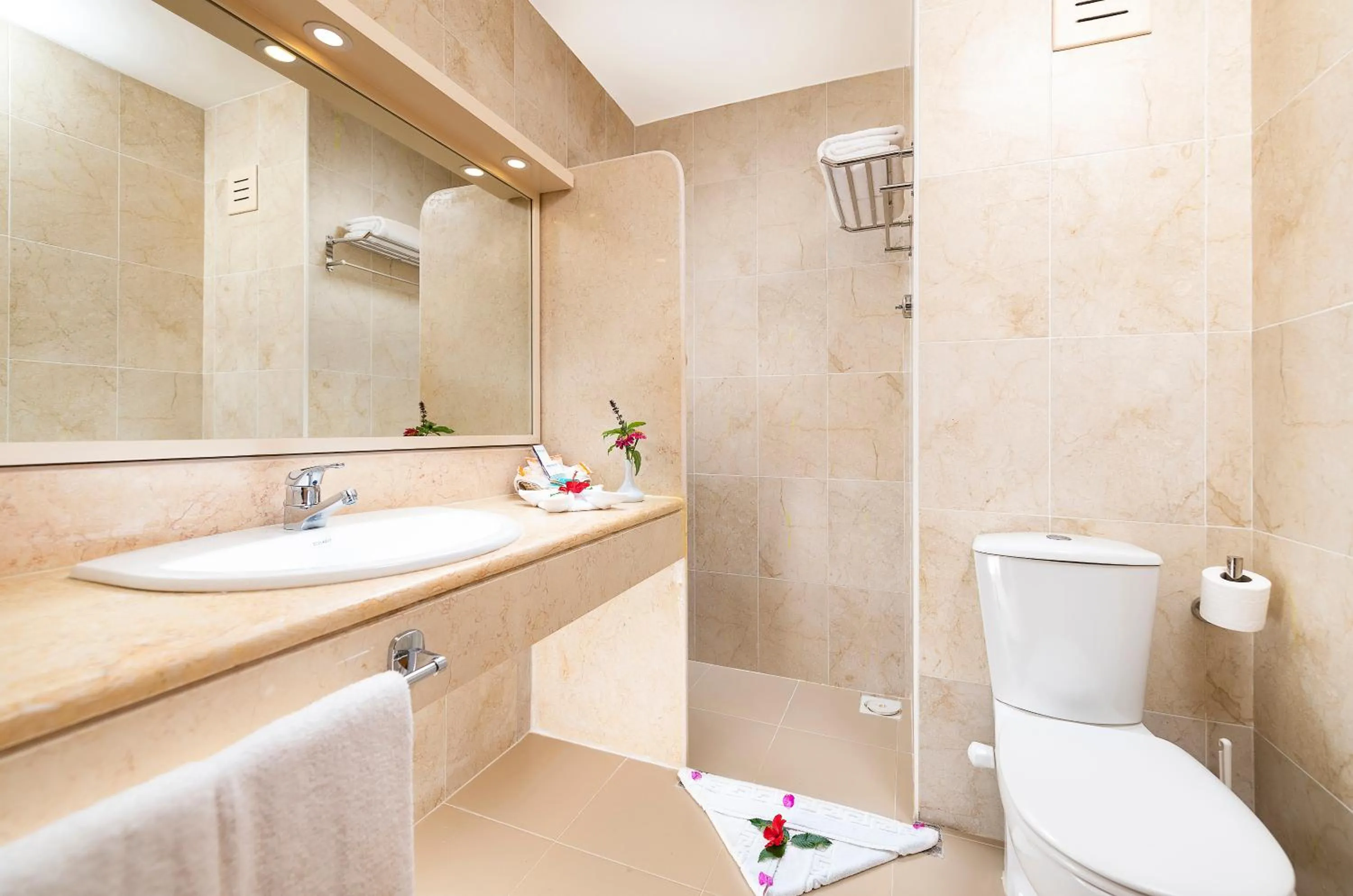 Premium Room - single occupancy in Three Corners Fayrouz Plaza Beach Resort