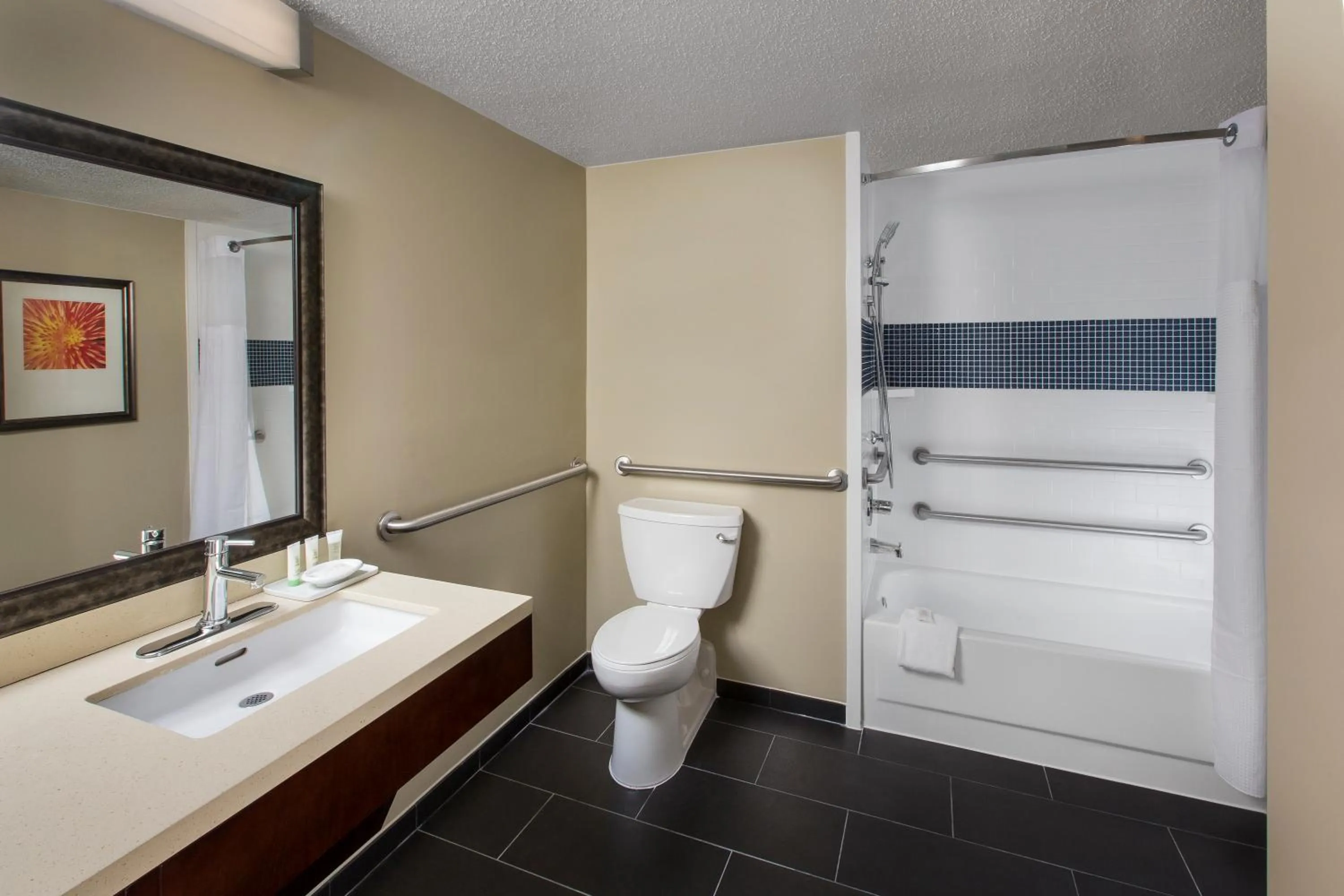 Queen Studio Suite - Disability Access Tran Shower/ Non-Smoking in Staybridge Suites Atlanta - Midtown by IHG