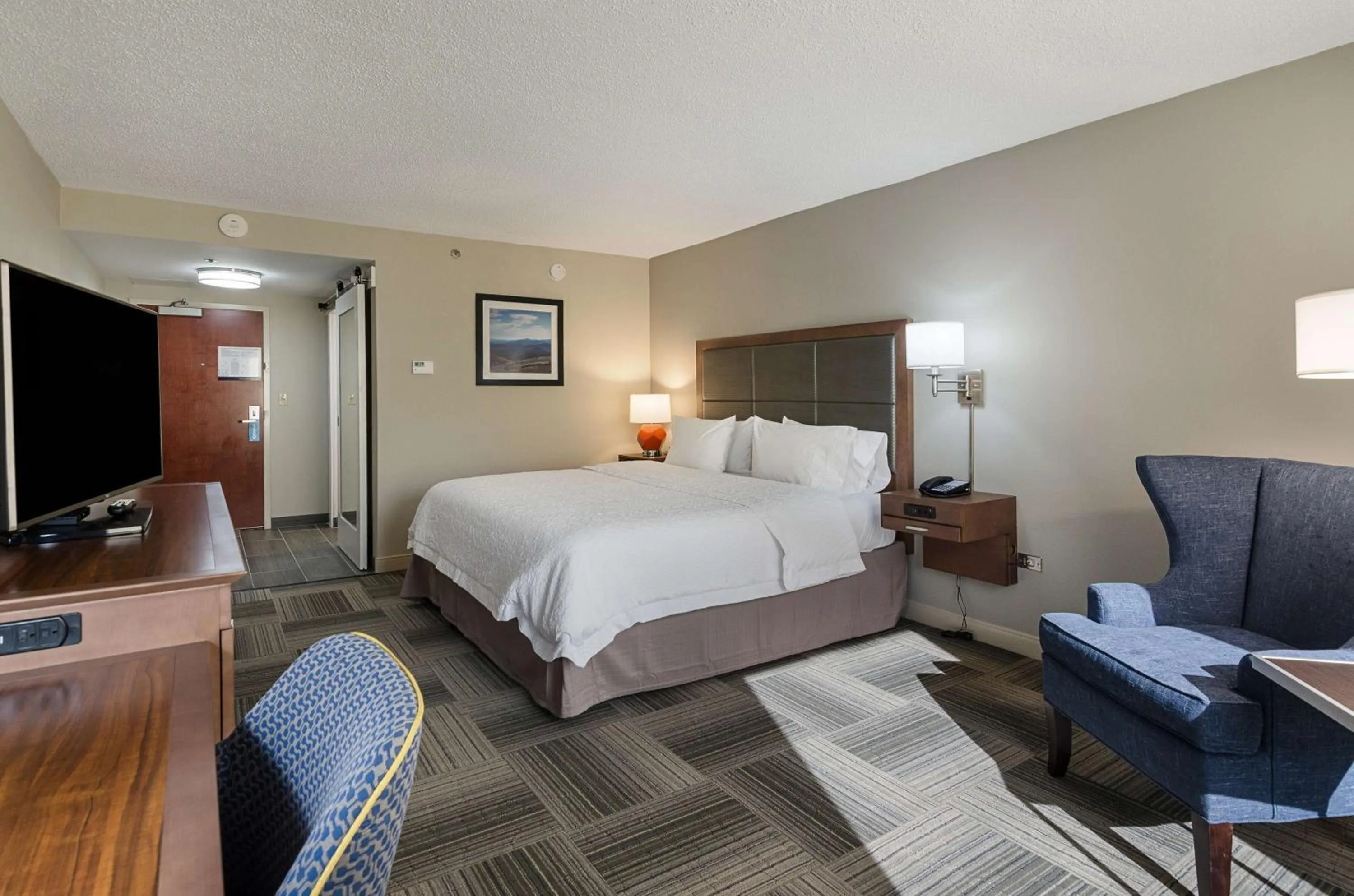 King Room with Roll-In Shower - Mobility and Hearing Access/Non-Smoking in Hampton Inn Covington VA