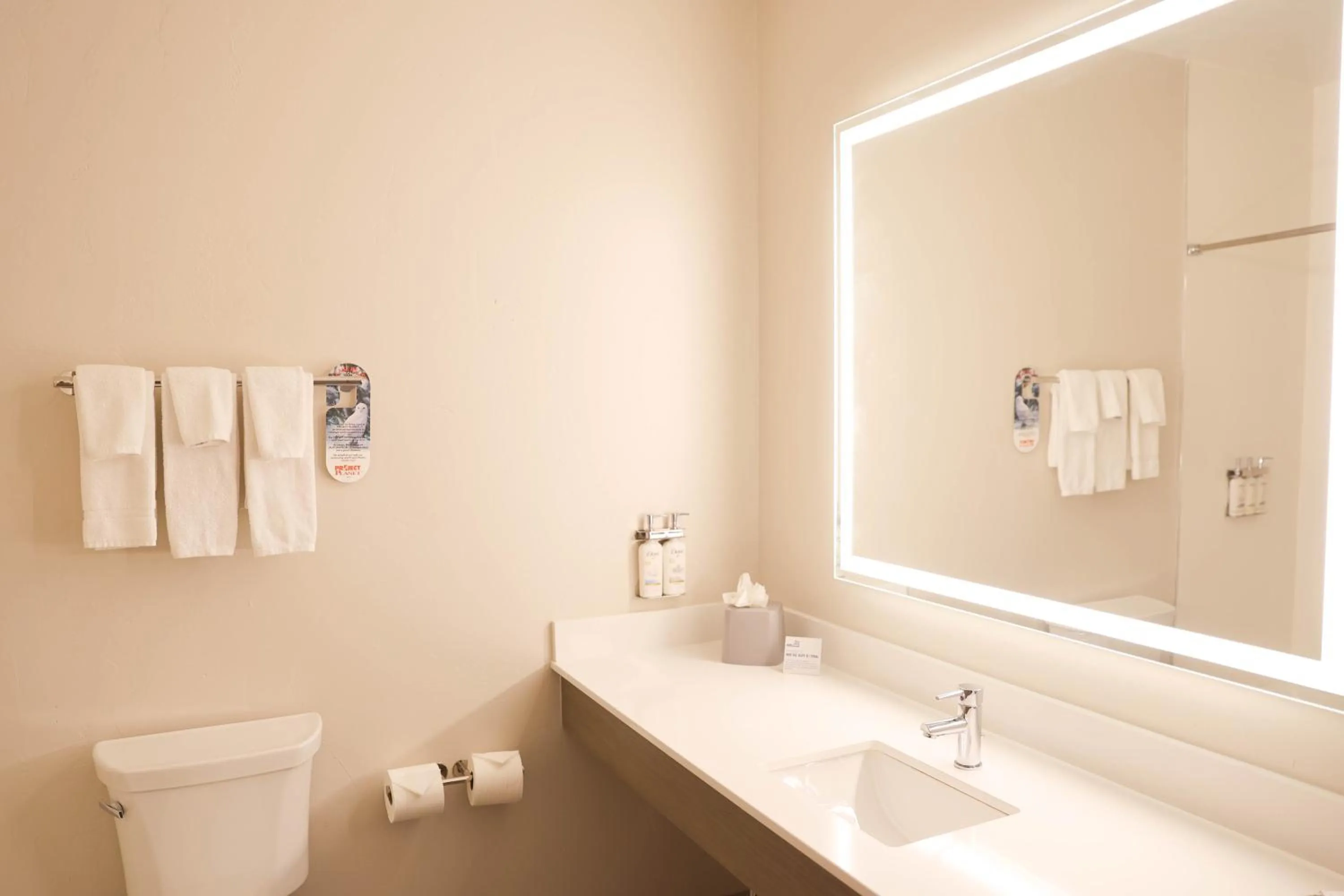 Standard Room with Two Queen Beds in Holiday Inn Express & Suites Douglas by IHG