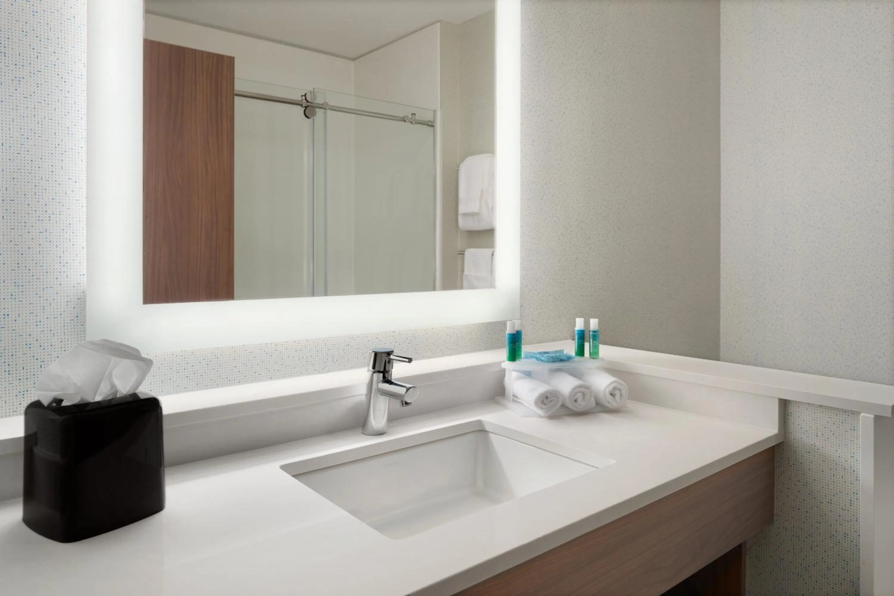 Standard King Room in Holiday Inn Express & Suites Duluth North - Miller Hill by IHG