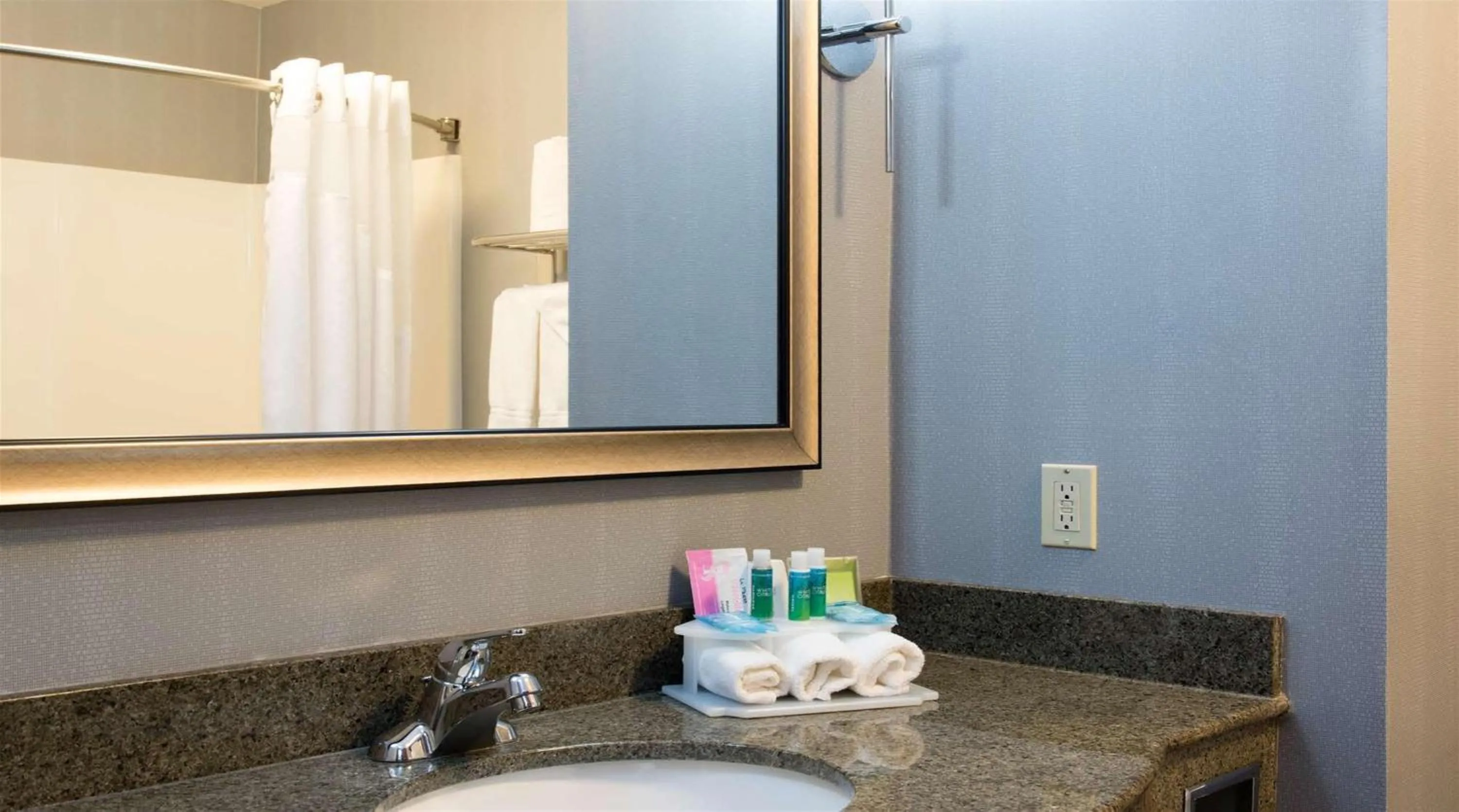 Standard King Room with Extra Space in Holiday Inn Express & Suites Danville by IHG