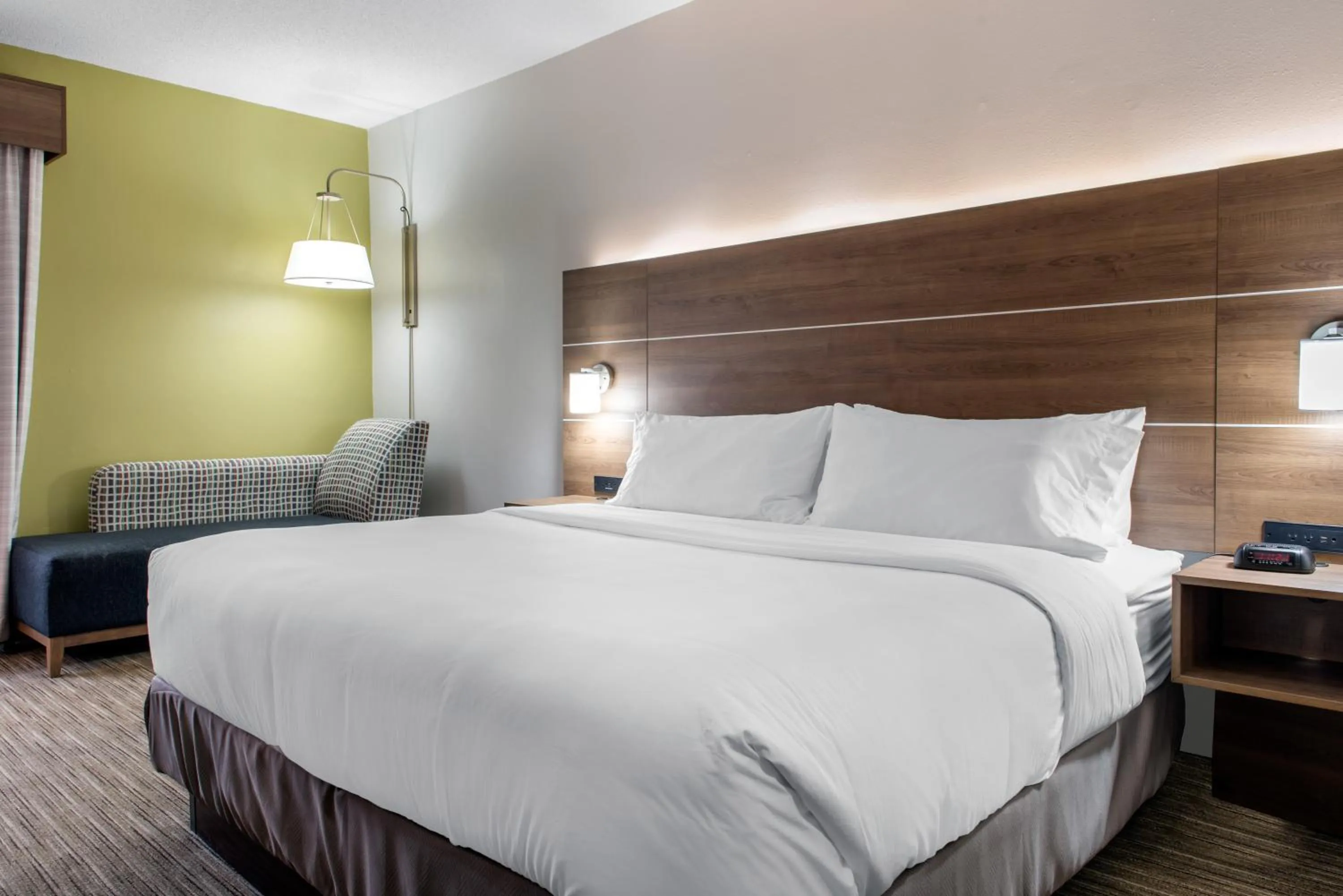 Standard King Room in Holiday Inn Express & Suites Harrison by IHG