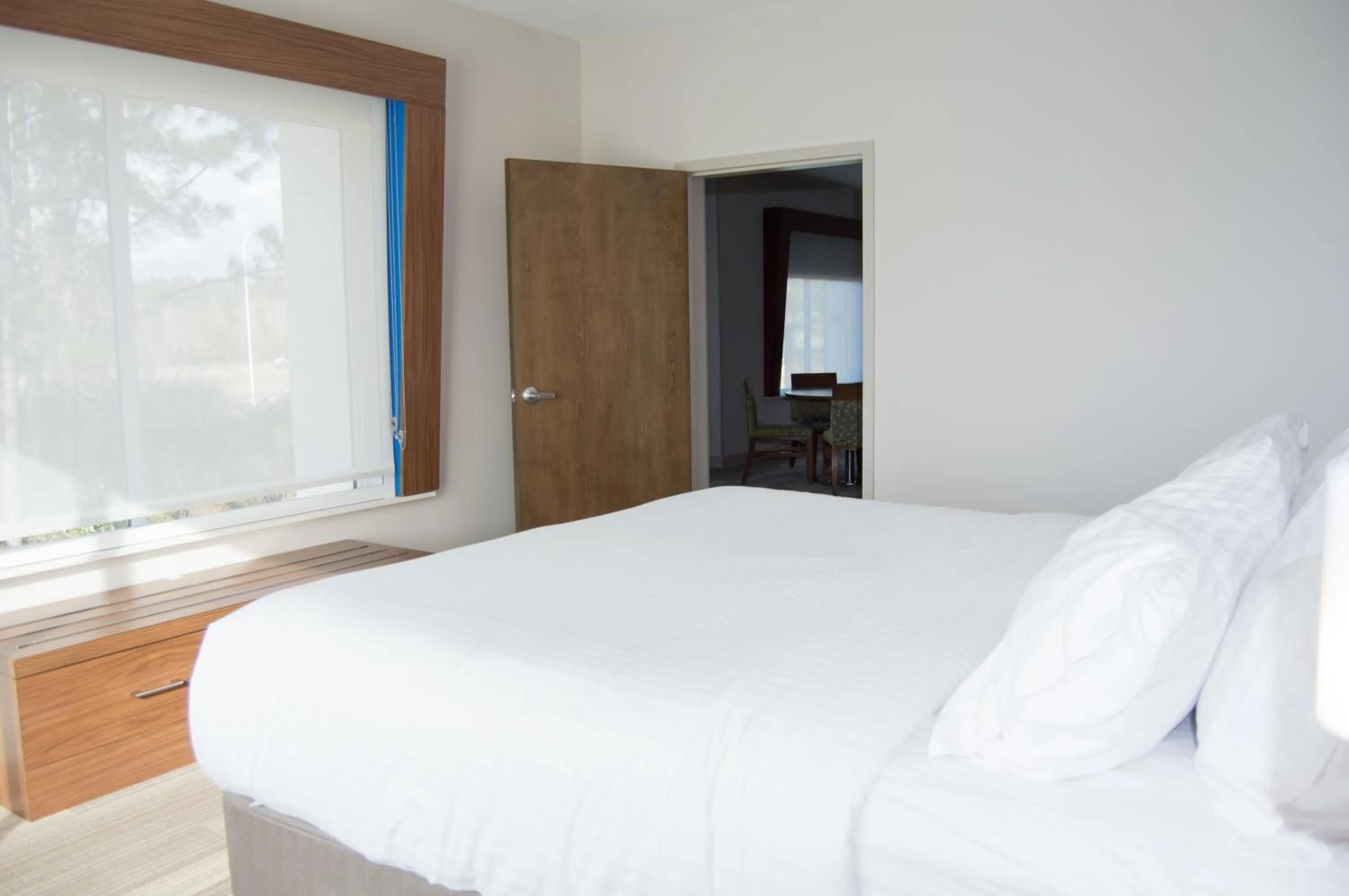 Suite - Hearing Accessible - Non-Smoking in Holiday Inn Express Slidell by IHG