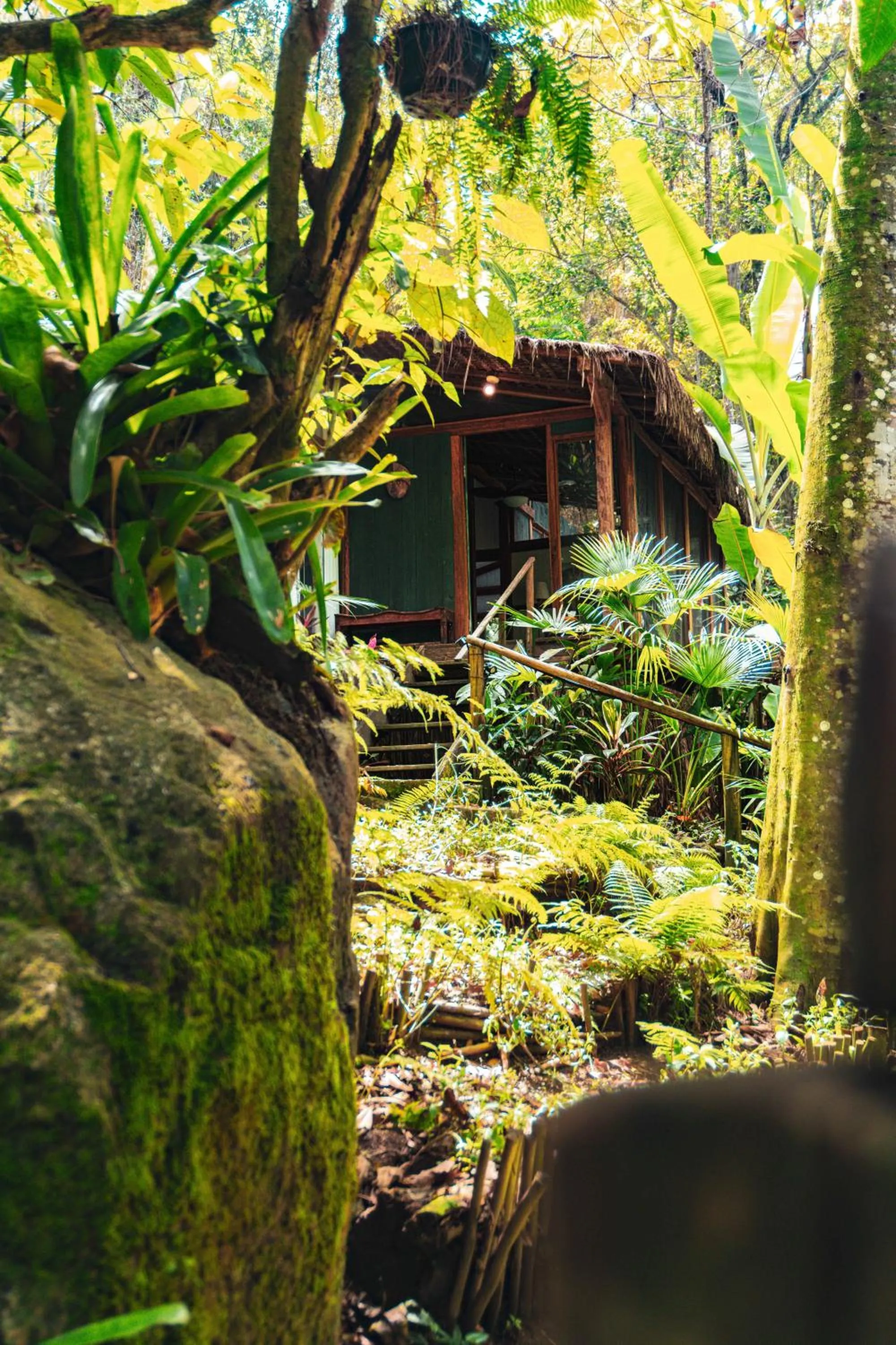 Two-Bedroom Chalet in Casa Luz Paraty