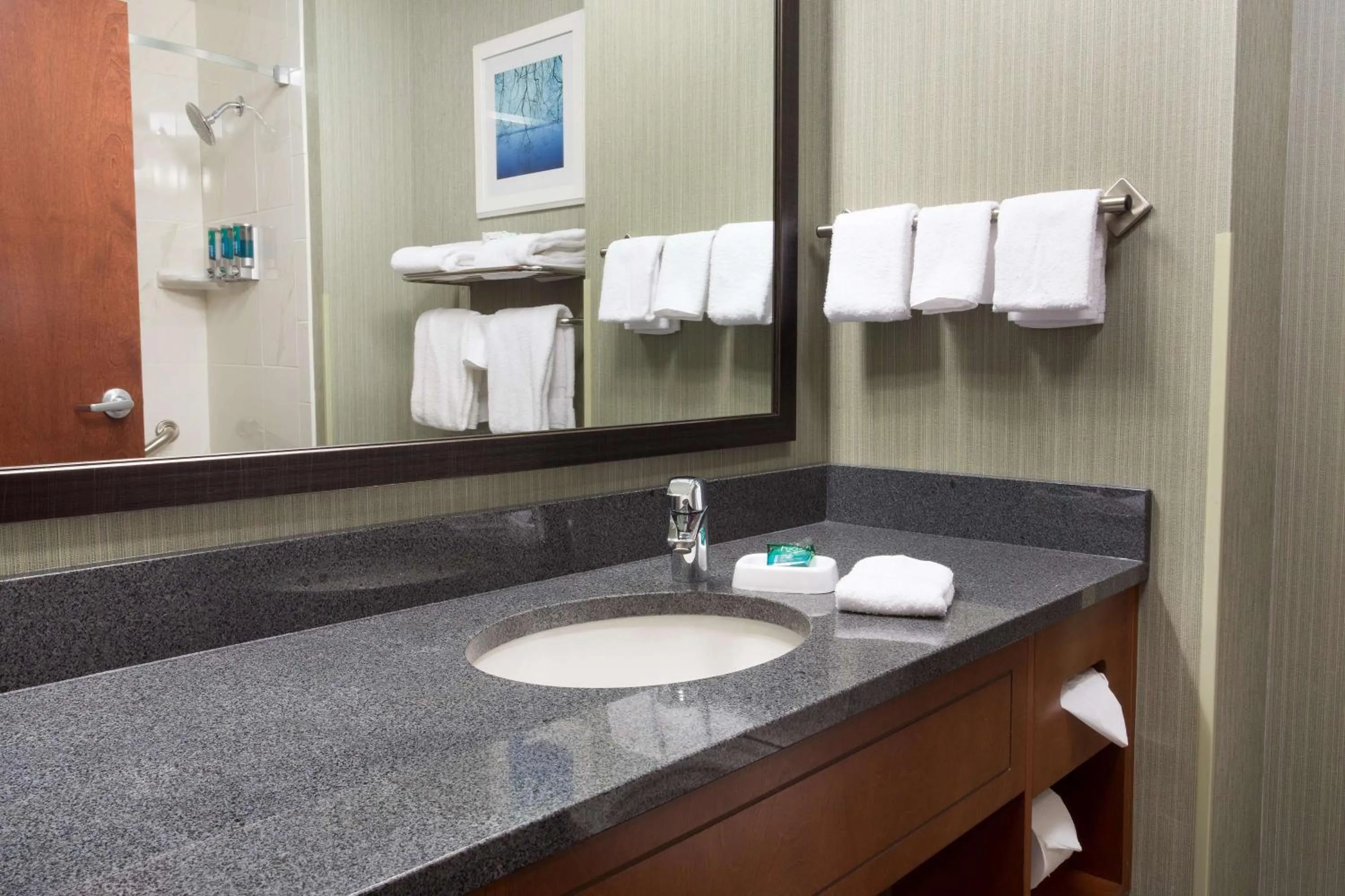 Deluxe Queen Suite with Sofa Bed in Drury Inn & Suites Burlington