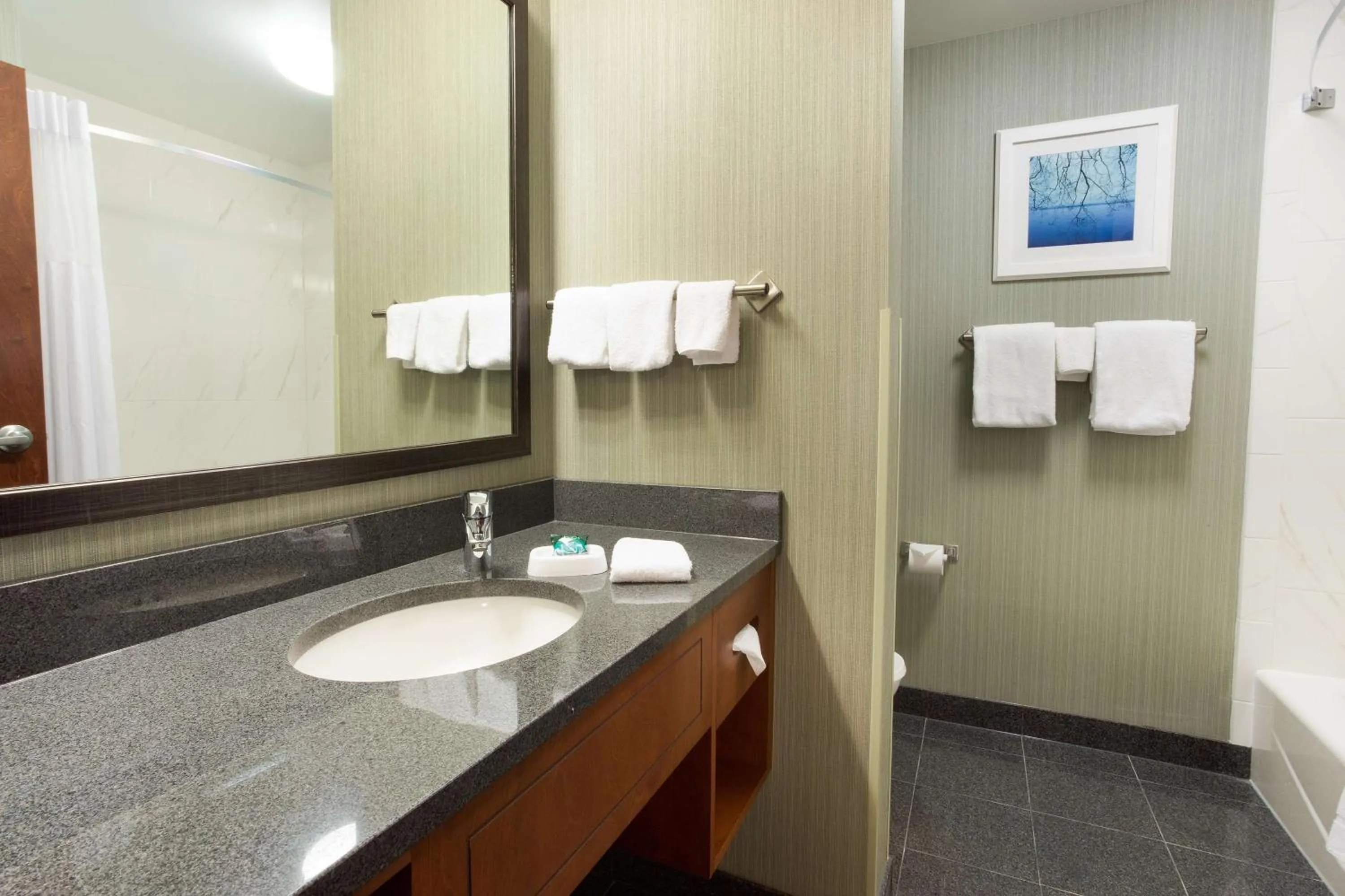 Superior King Room - Accessible, Tub in Drury Inn & Suites Burlington