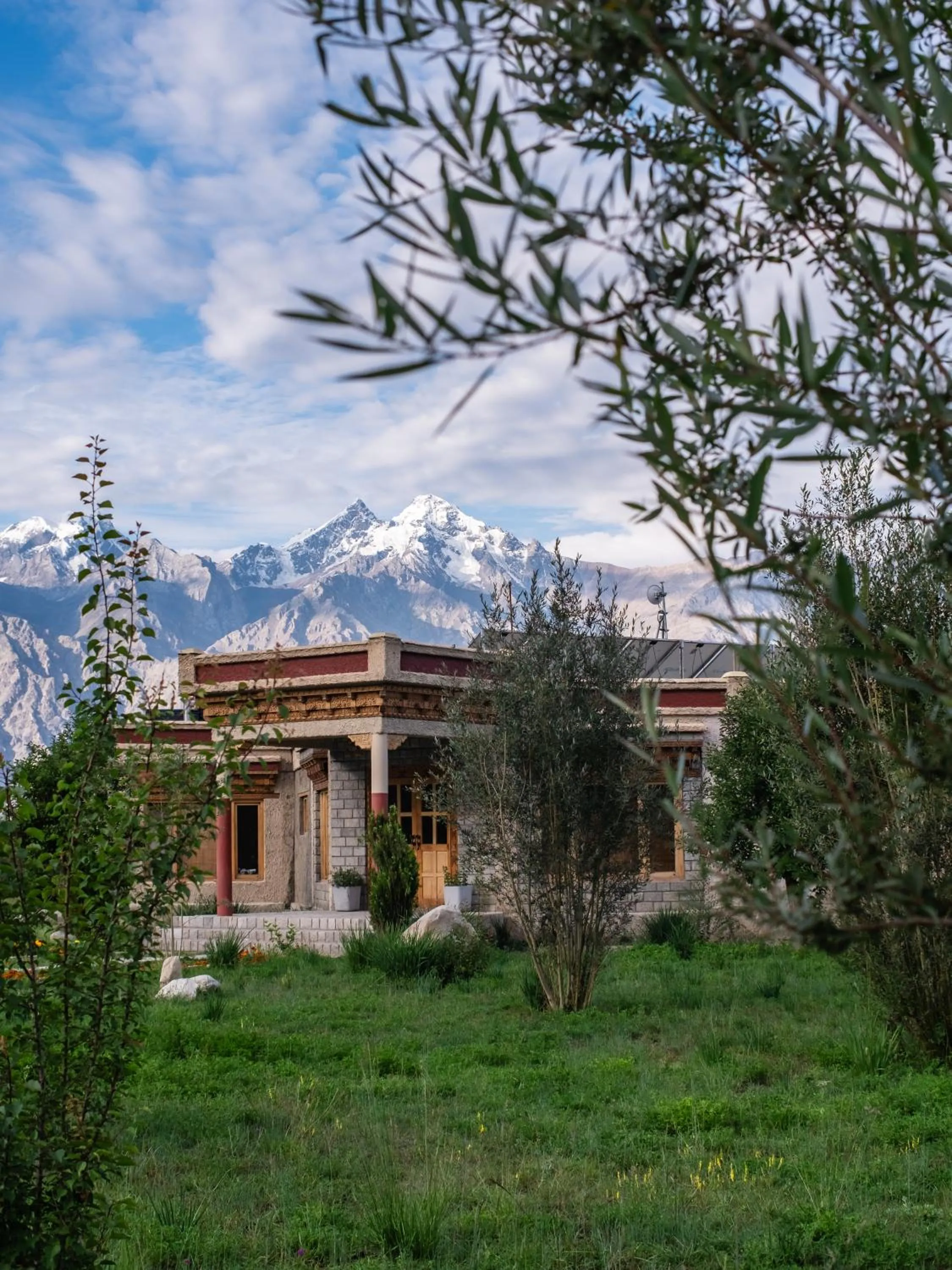 Lchang Nang Retreat-THE HOUSE OF TREES-Nubra Valley