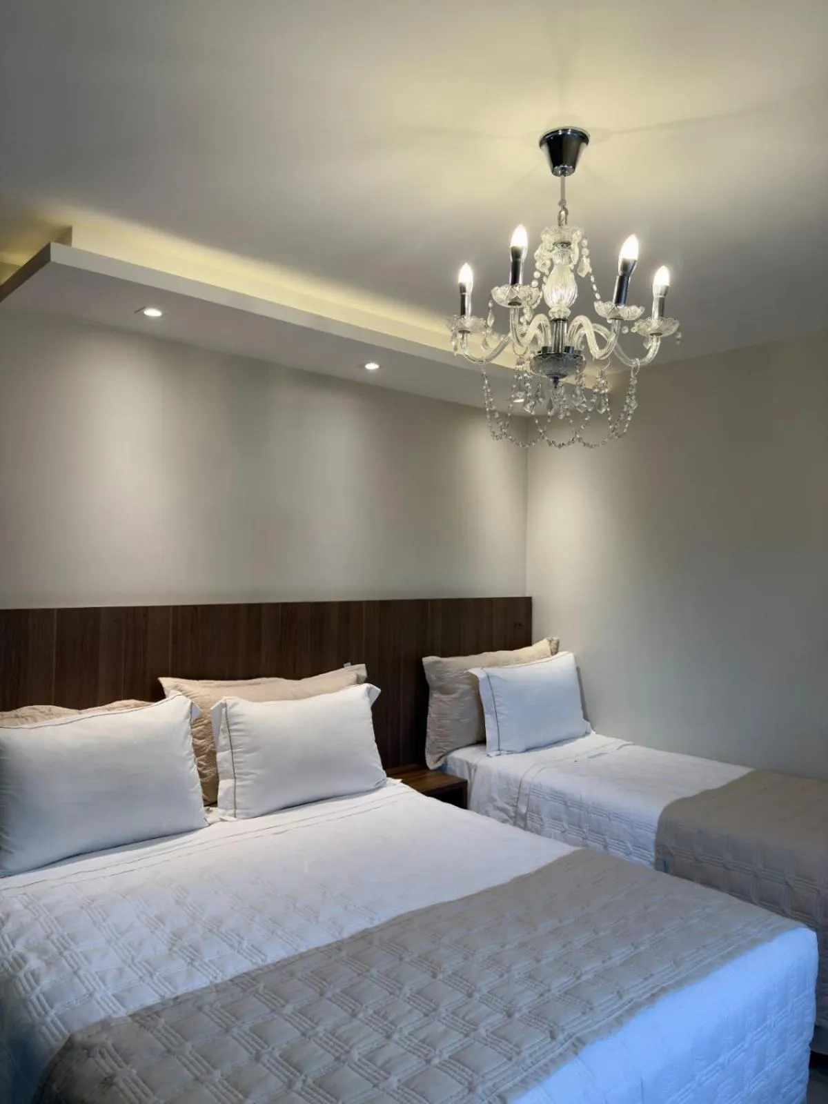 Luxury Triple Room with 1 Double Bed and 1 Single Bed in Concept Hotel Flat