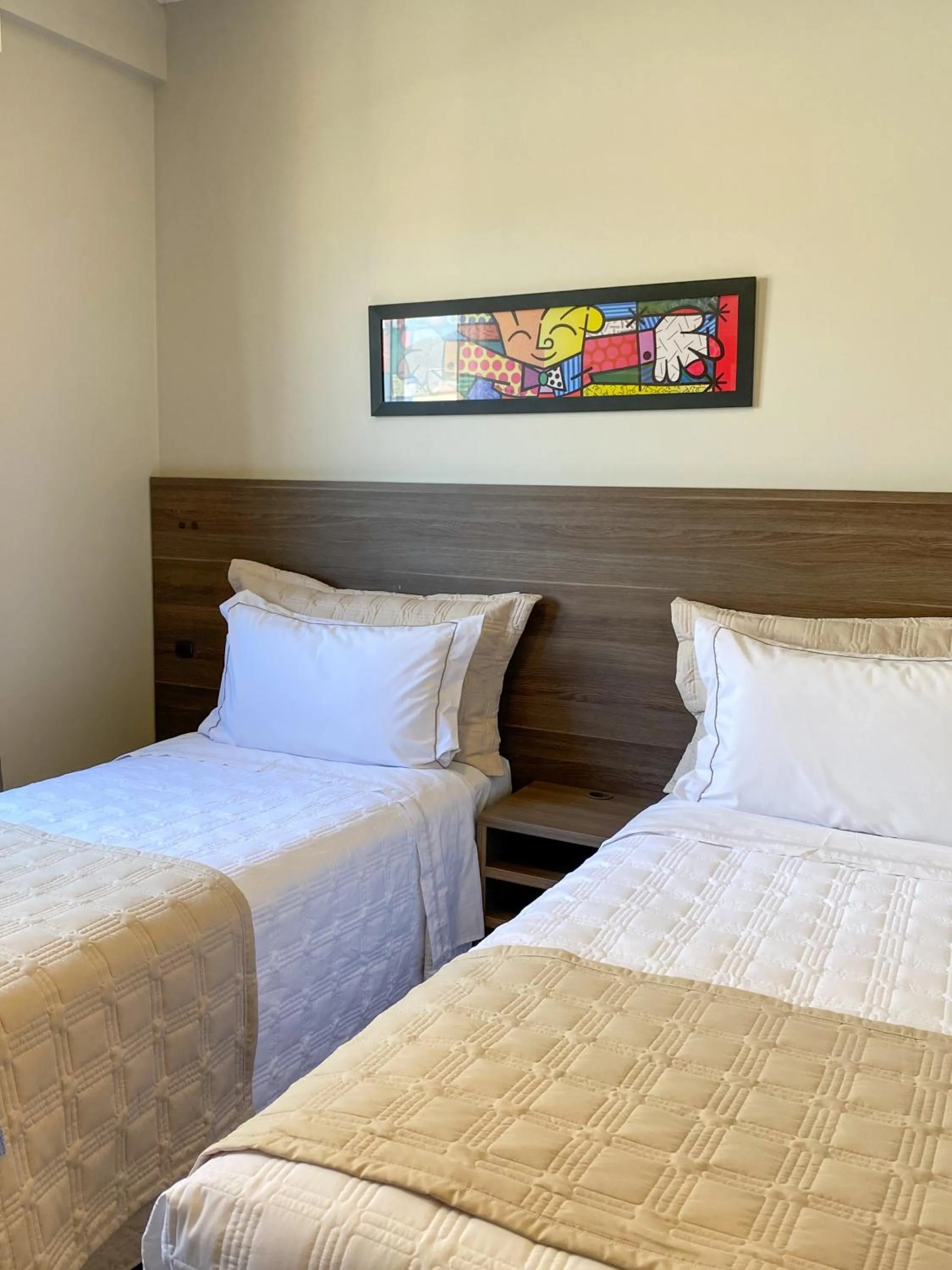 Budget Twin Room in Concept Hotel Flat
