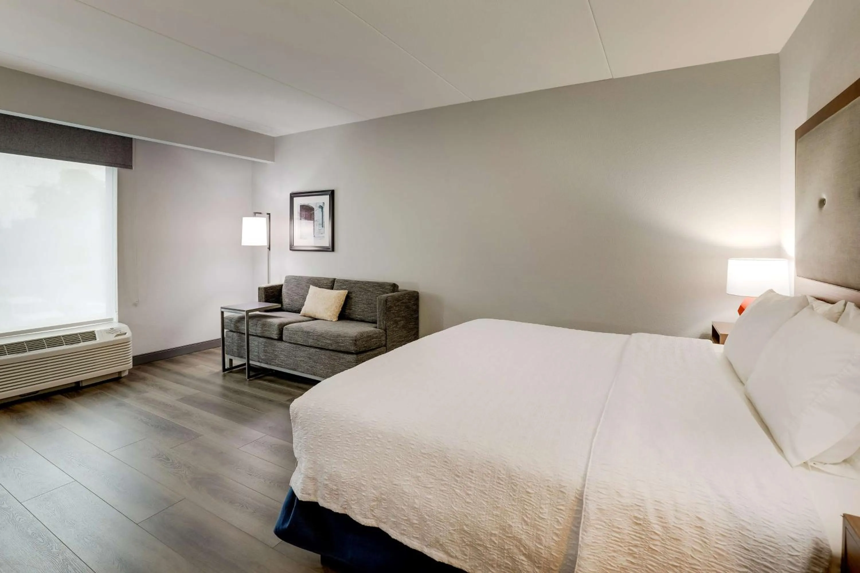 King Room with City View - Non-Smoking in Hampton Inn and Suites Rome, GA