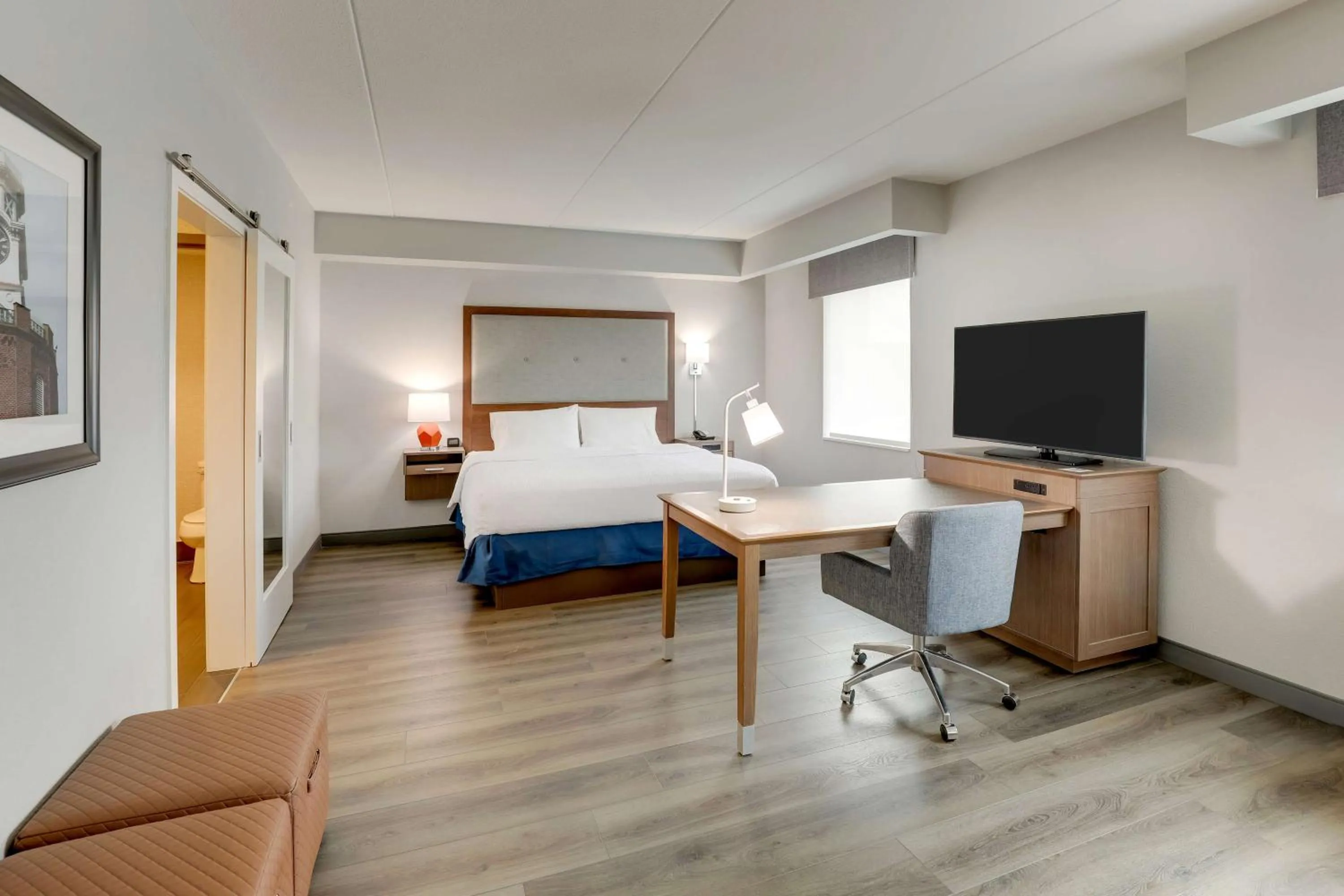 King Studio Suite - Non Smoking in Hampton Inn and Suites Rome, GA