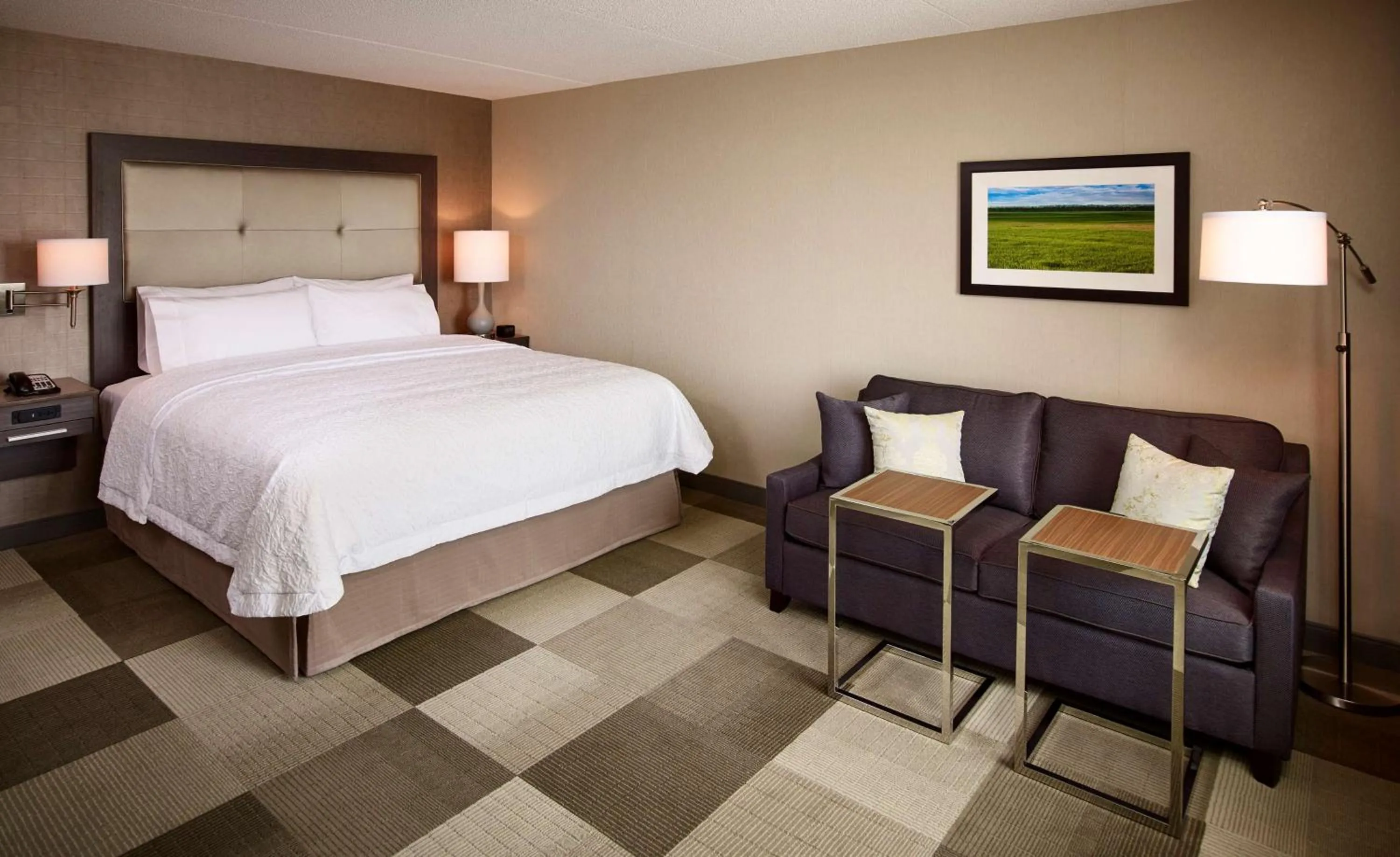 King Room with Sofa Bed - Non-Smoking in Hampton Inn by Hilton Sarnia/Point Edward