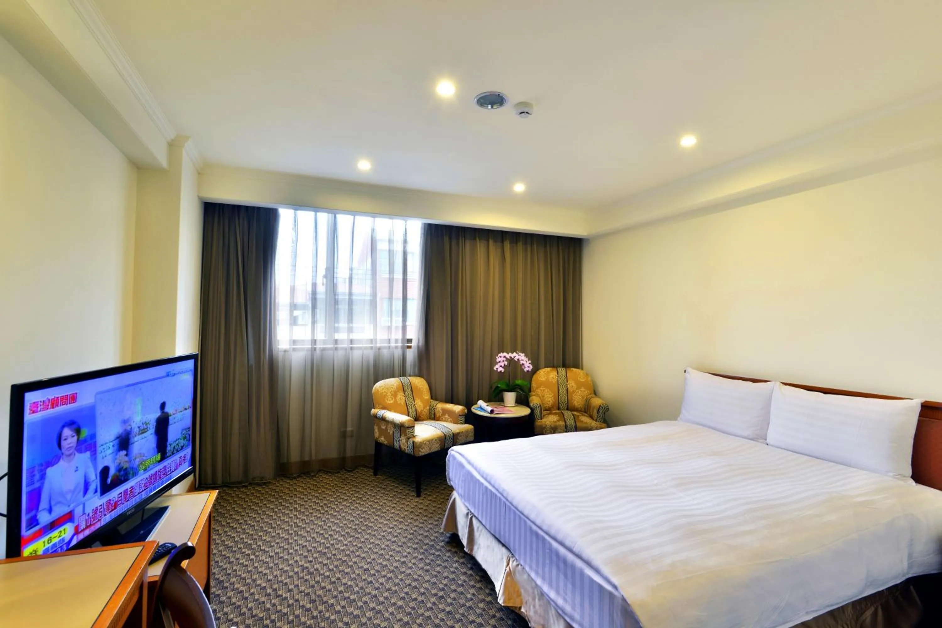 Standard Double Room in Apollo Hotel