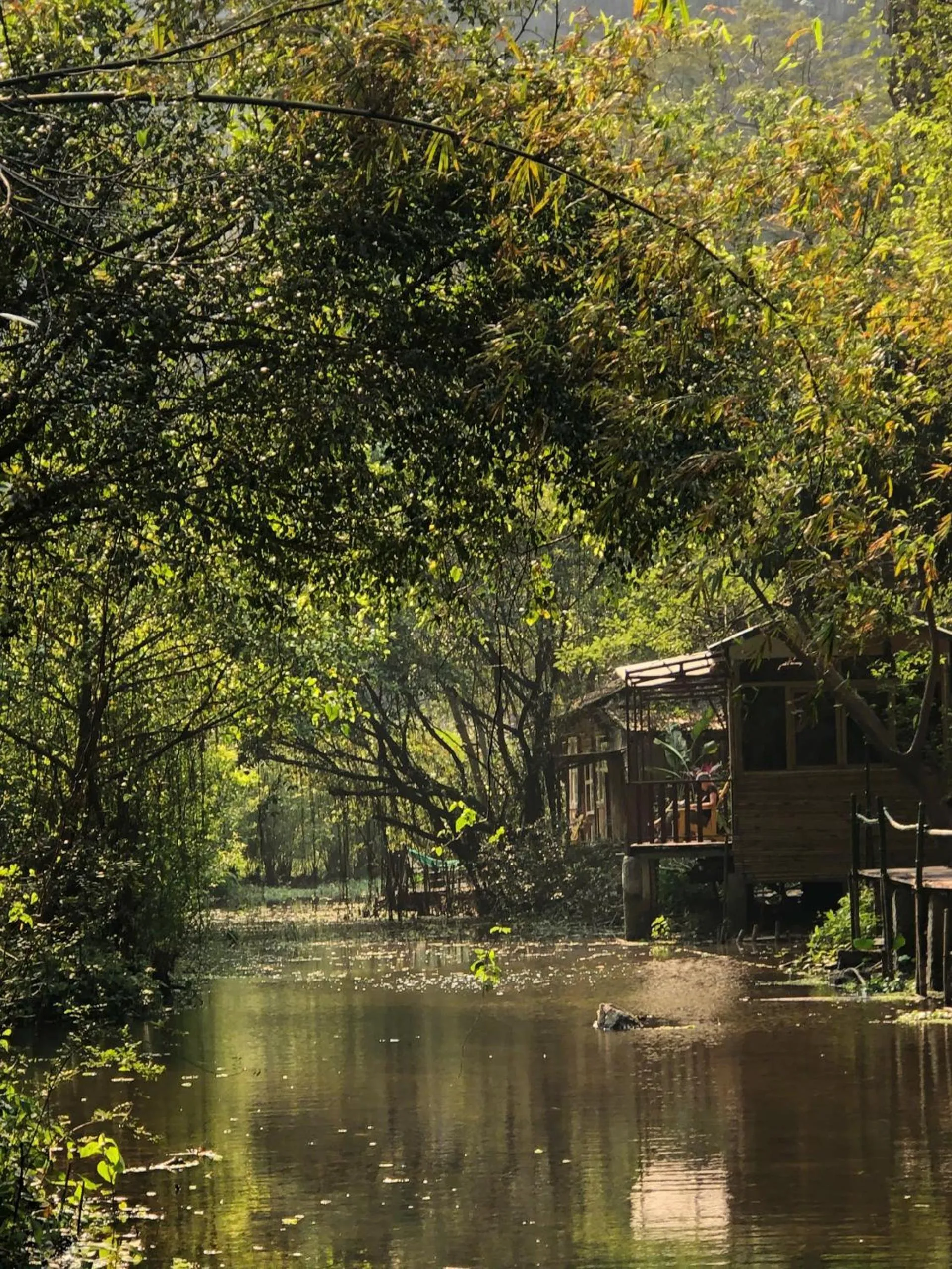 Superior Bungalow - single occupancy in Chez Beo Homestay