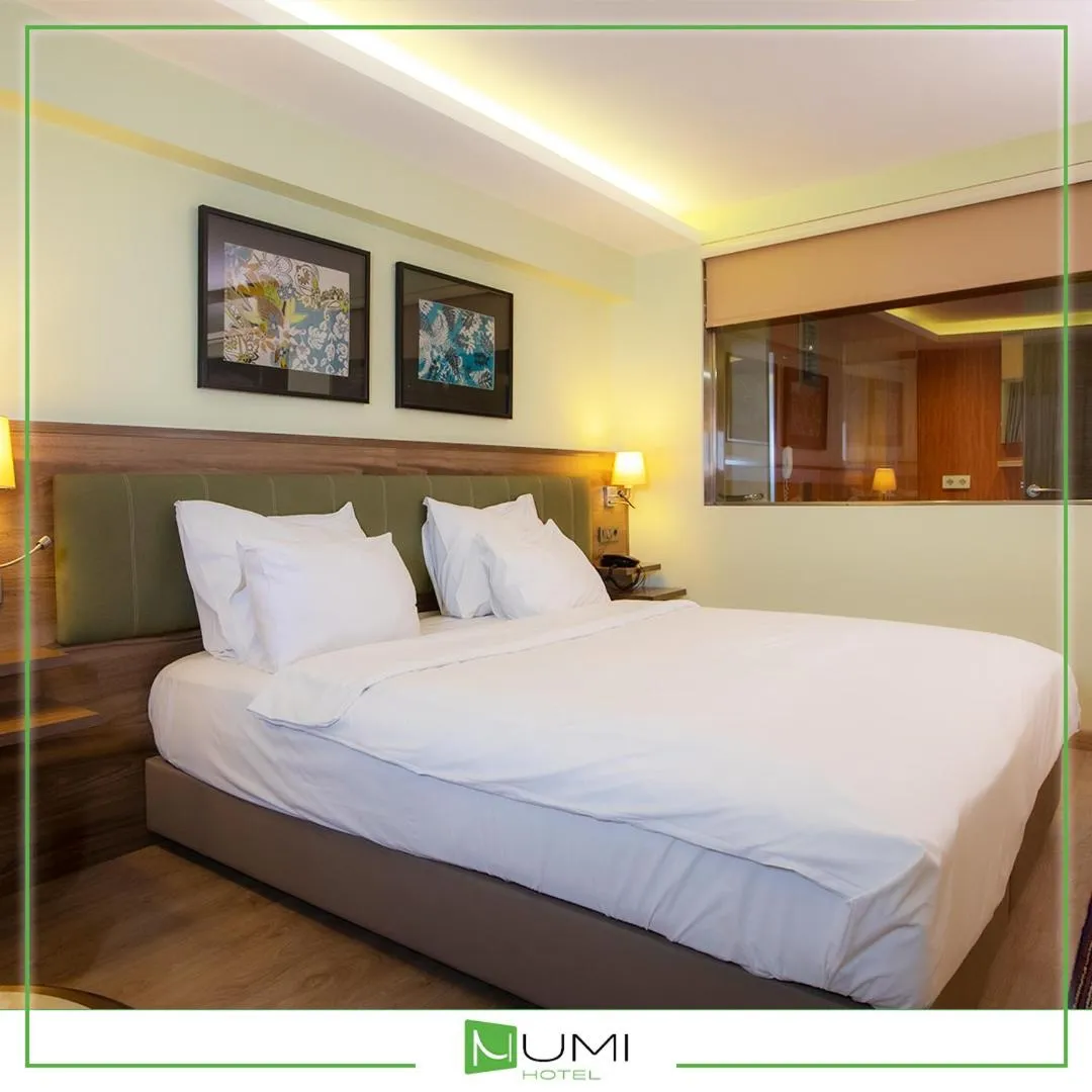 Economy Double Room in Numi Hotel