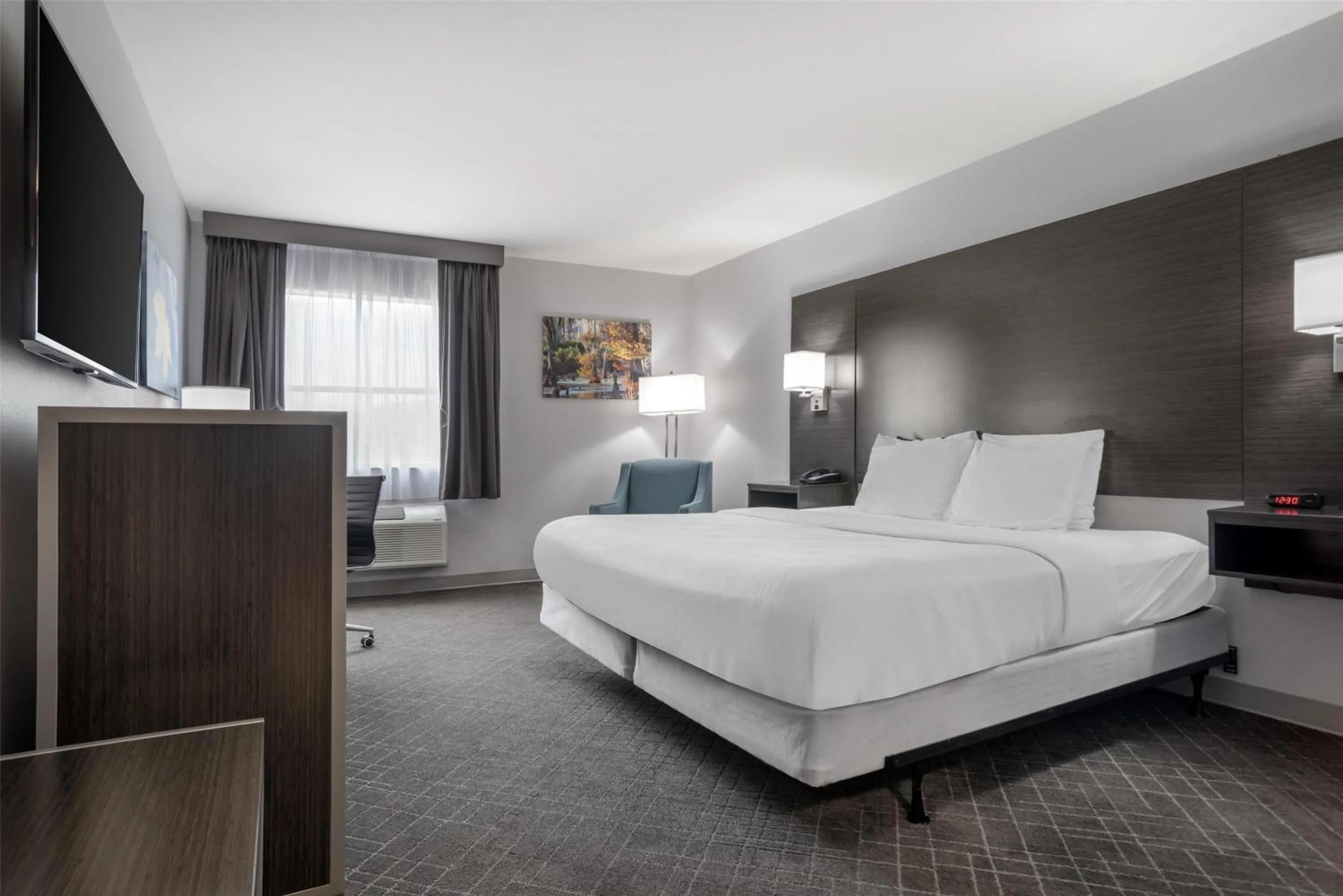 King Room - Disability Access in SureStay Plus by Best Western St. James Donaldsonville