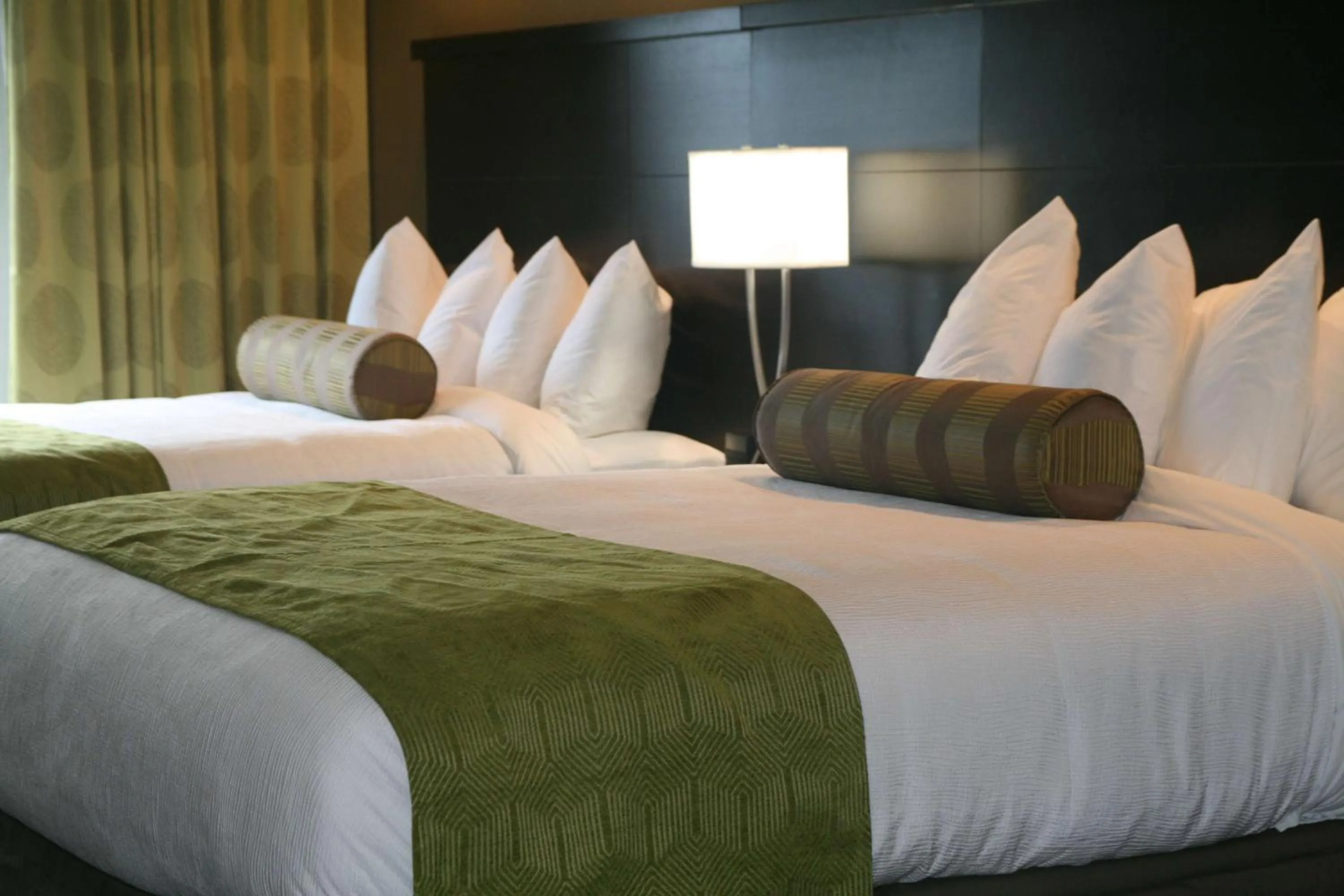 Queen Room with Two Queen Beds - Disability Access/Non-Smoking in Best Western Plus University Inn