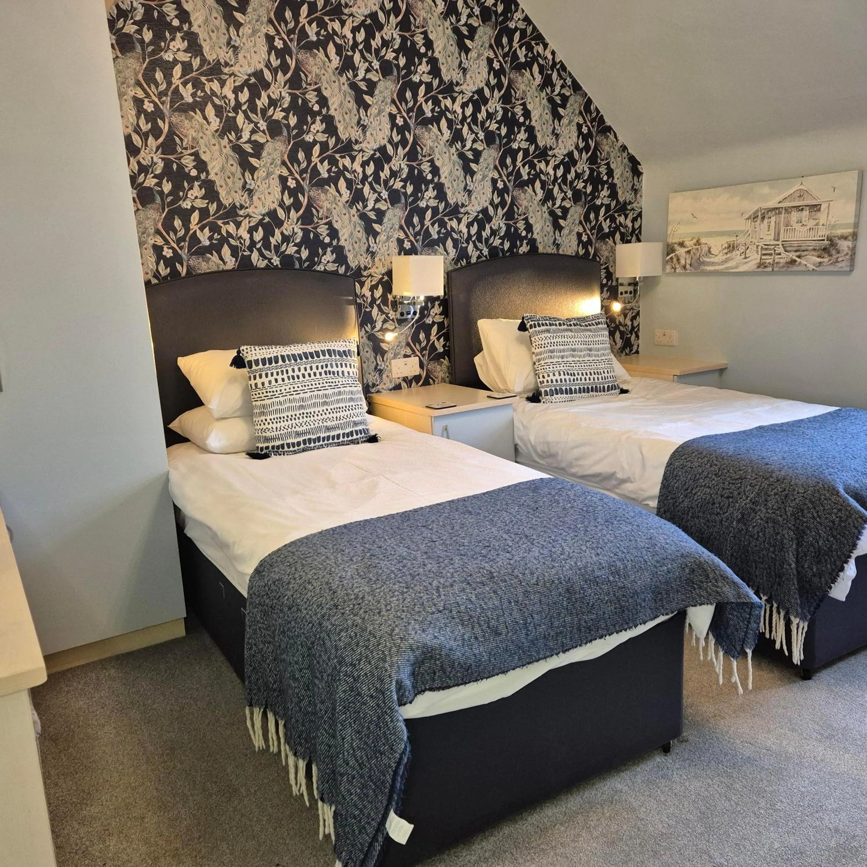 Standard Twin Room - single occupancy in Kintrae B&B