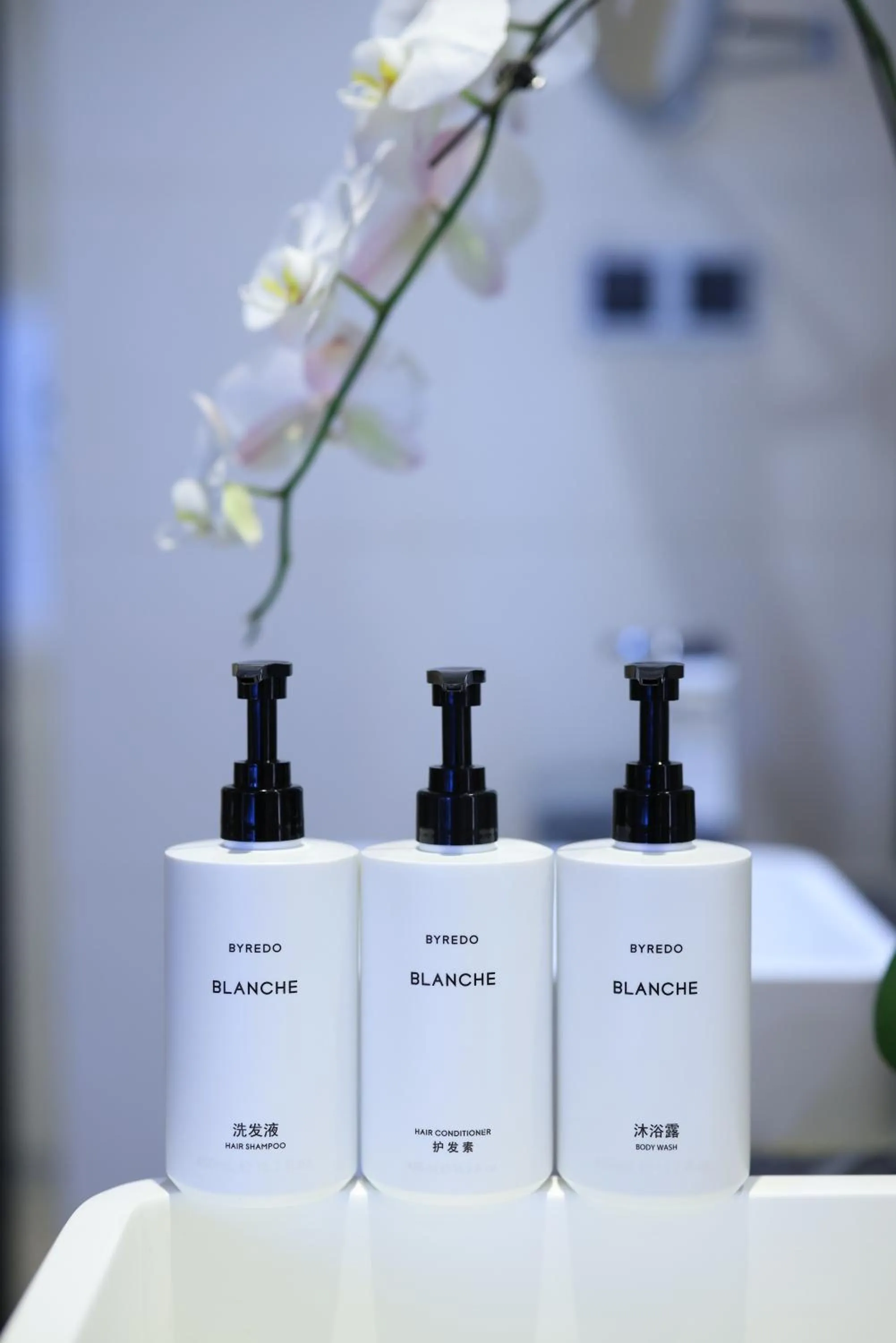 Intercontinental Club Twin Room - Non-Smoking in InterContinental Beijing Sanlitun by IHG