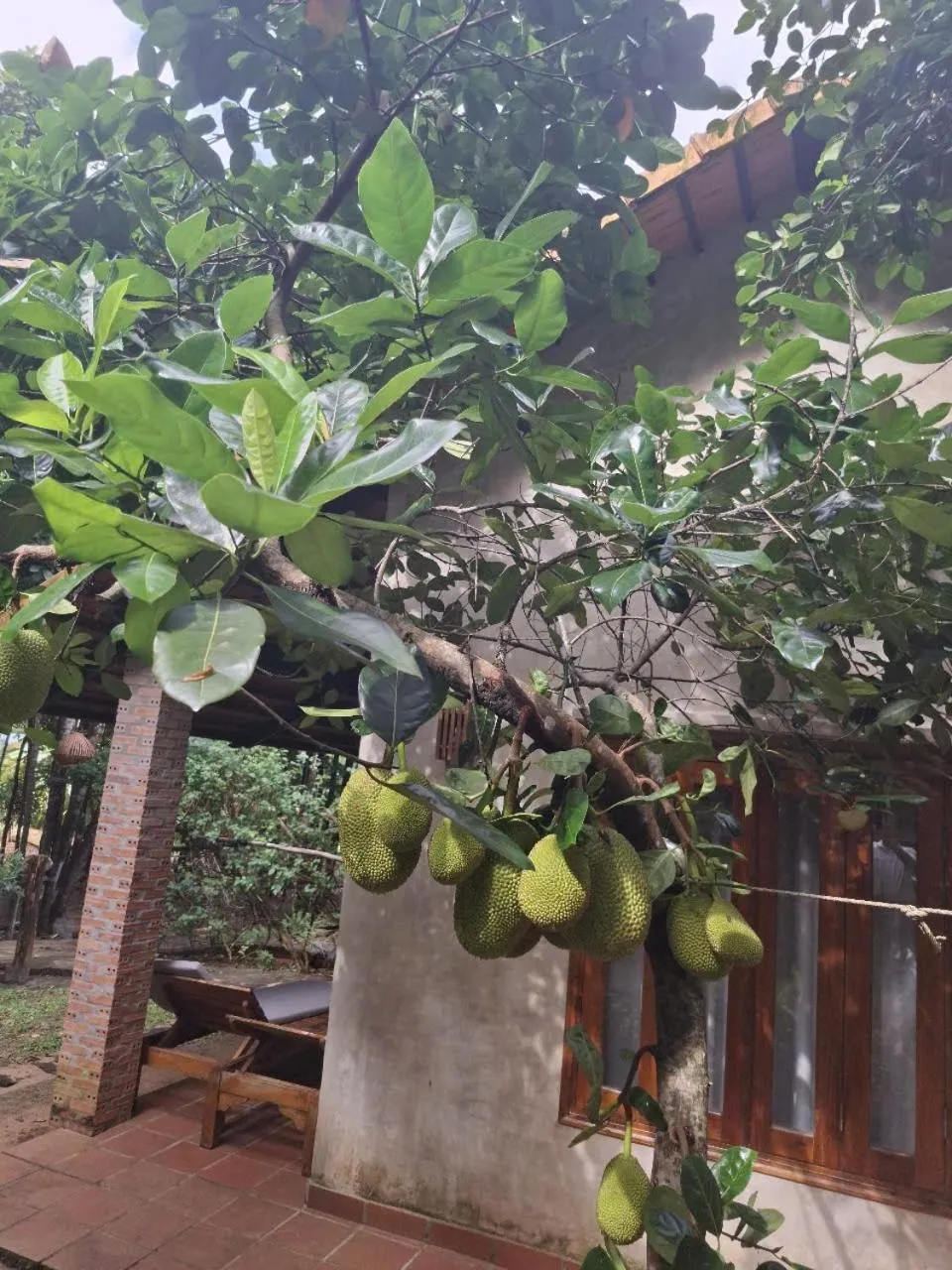 Superior Bungalow Garden View in Valley Village Phu Quoc