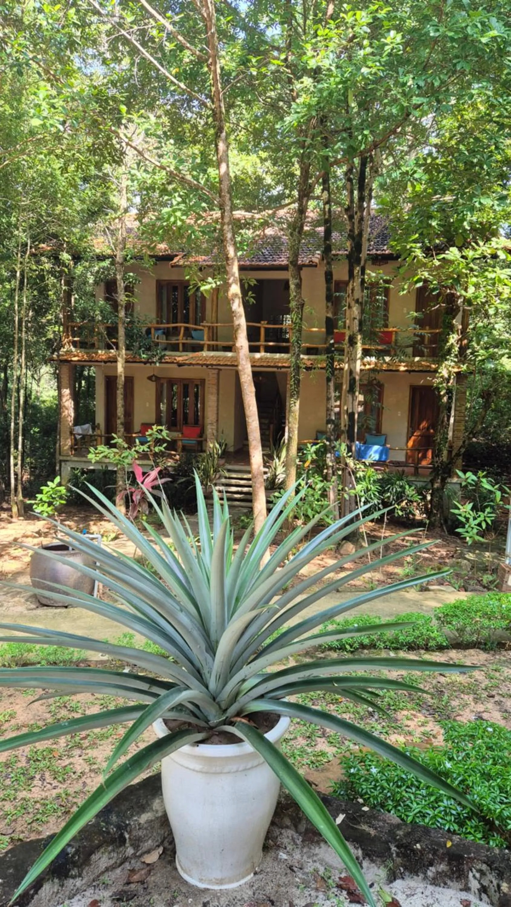 Superior Pool View Room in Valley Village Phu Quoc