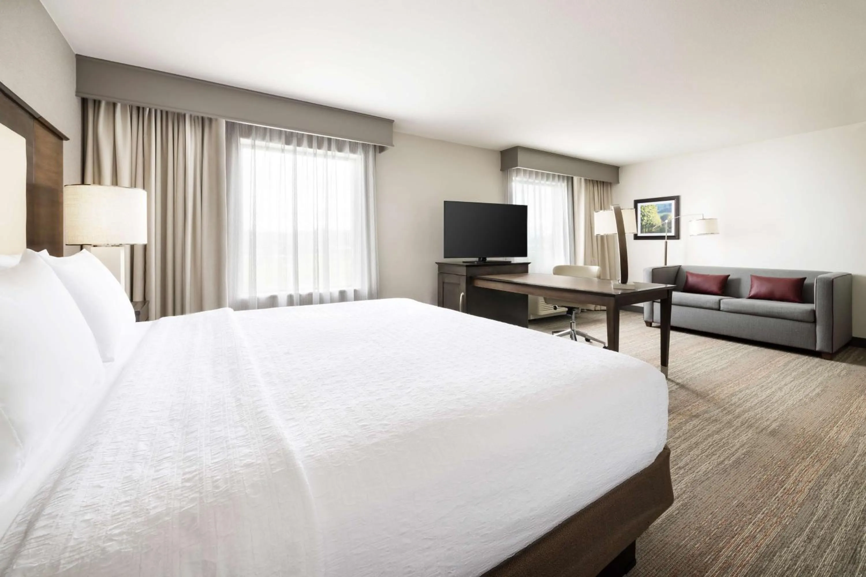 King Studio Suite - Non Smoking in Hampton Inn & Suites - Napa, CA