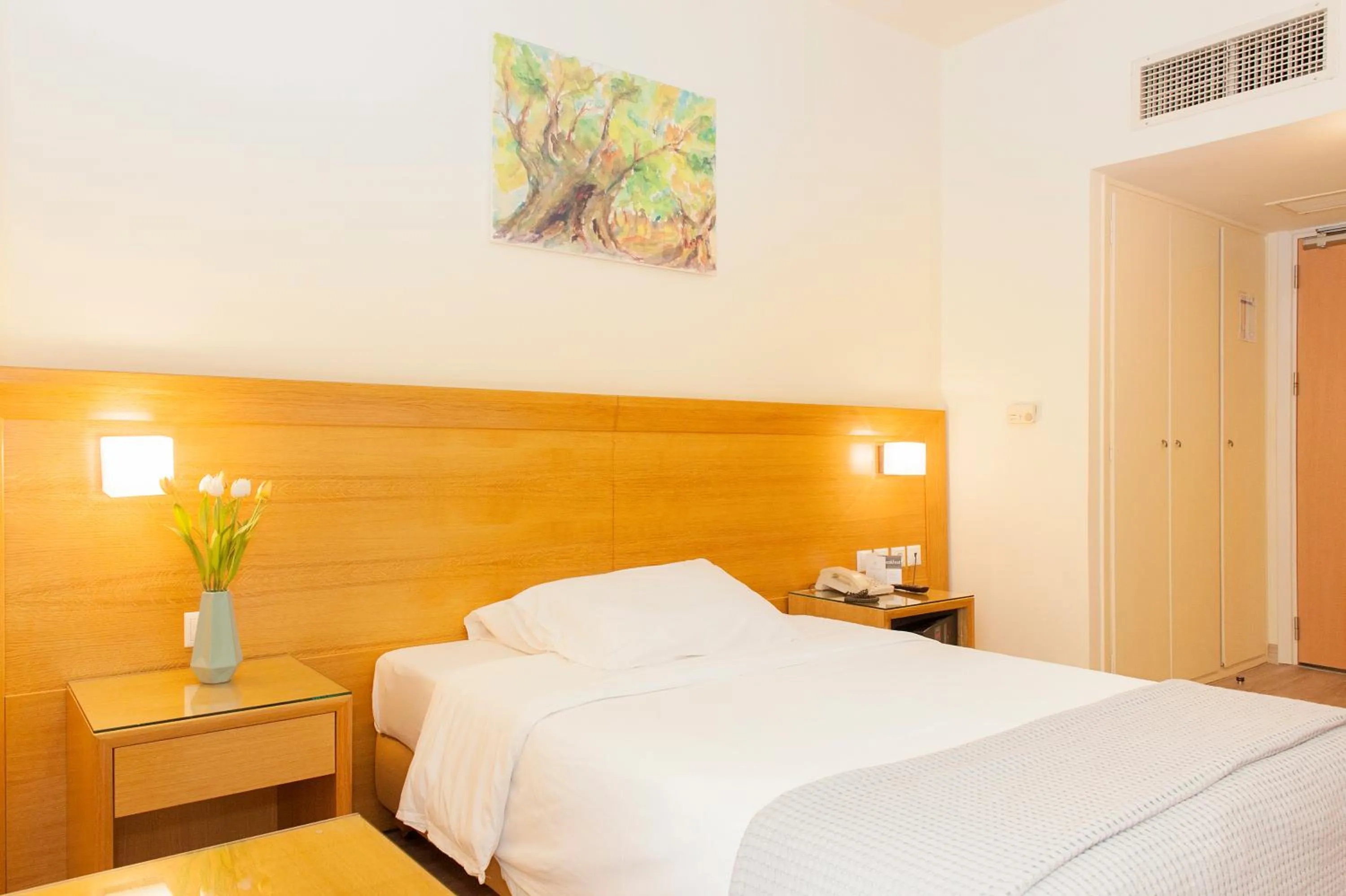 Single Room - single occupancy in Athinais Hotel