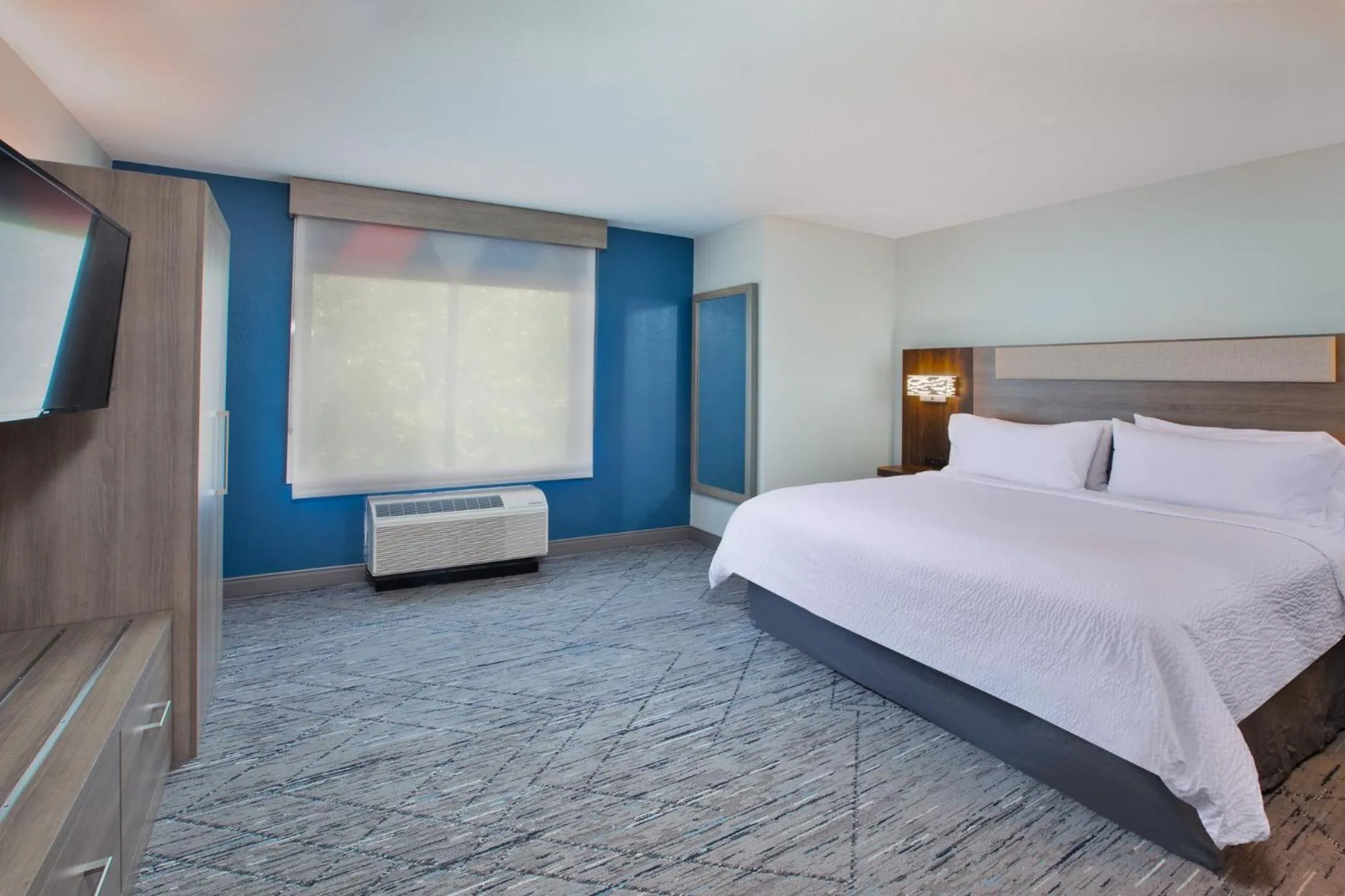 King Suite - Non-Smoking in Holiday Inn Express & Suites Buffalo by IHG