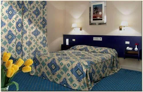 Standard Double Room - single occupancy in Hotel Concorde Dokki