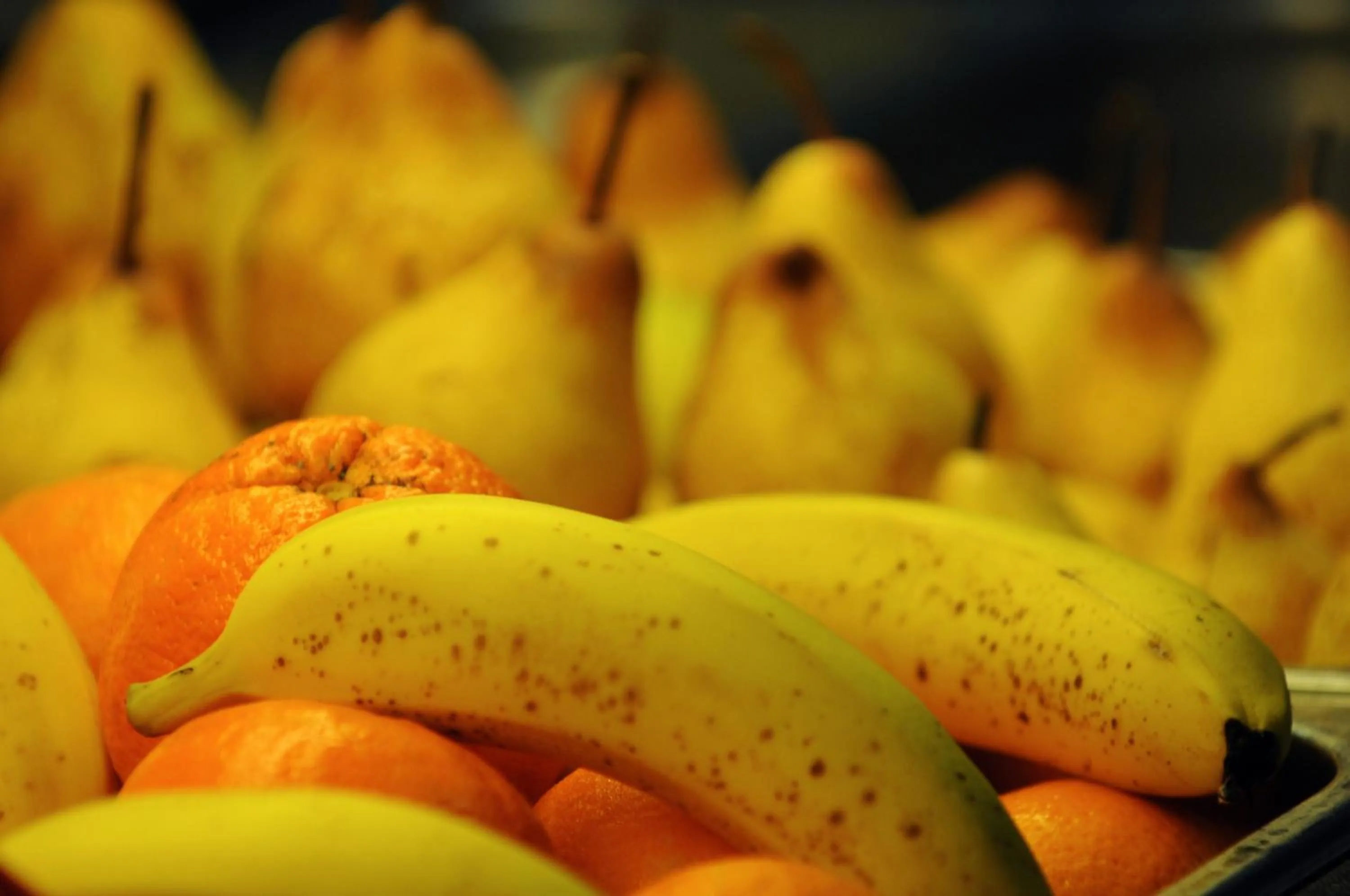 Superior Twin Room in INATEL Foz Do Arelho